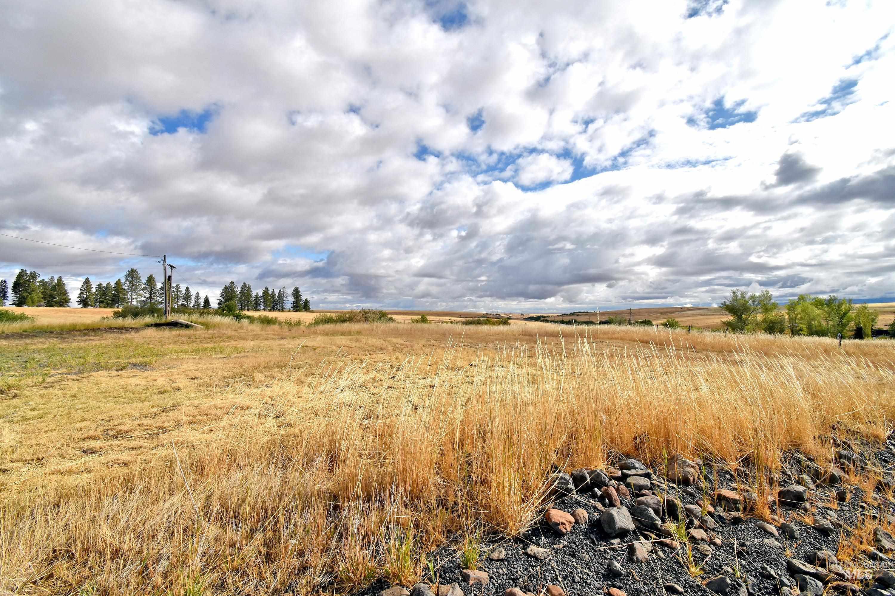 Boyd Lane, Anatone, Washington 99401, Land For Sale, Price $185,000, 98958648
