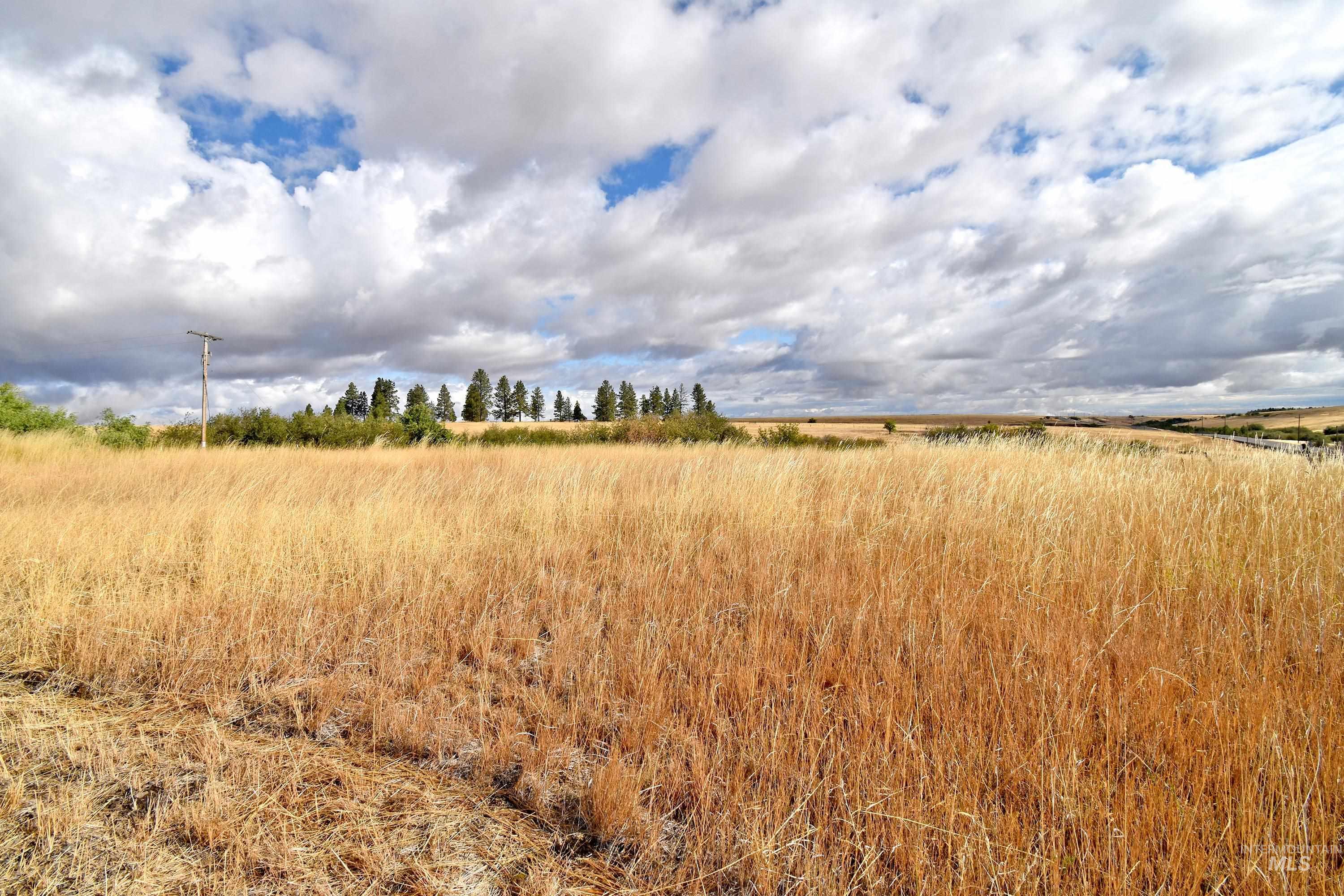 Boyd Lane, Anatone, Washington 99401, Land For Sale, Price $185,000, 98958648