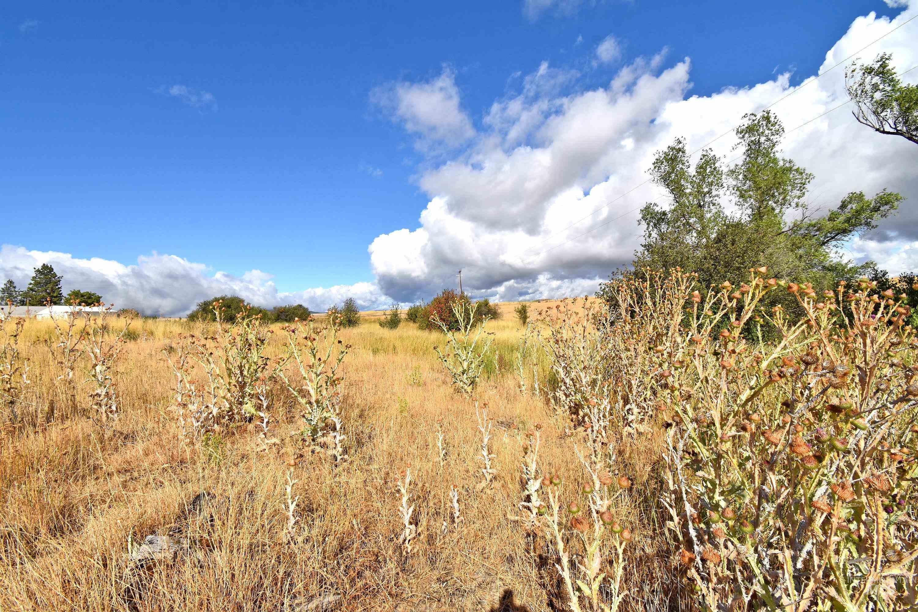 Boyd Lane, Anatone, Washington 99401, Land For Sale, Price $185,000, 98958648