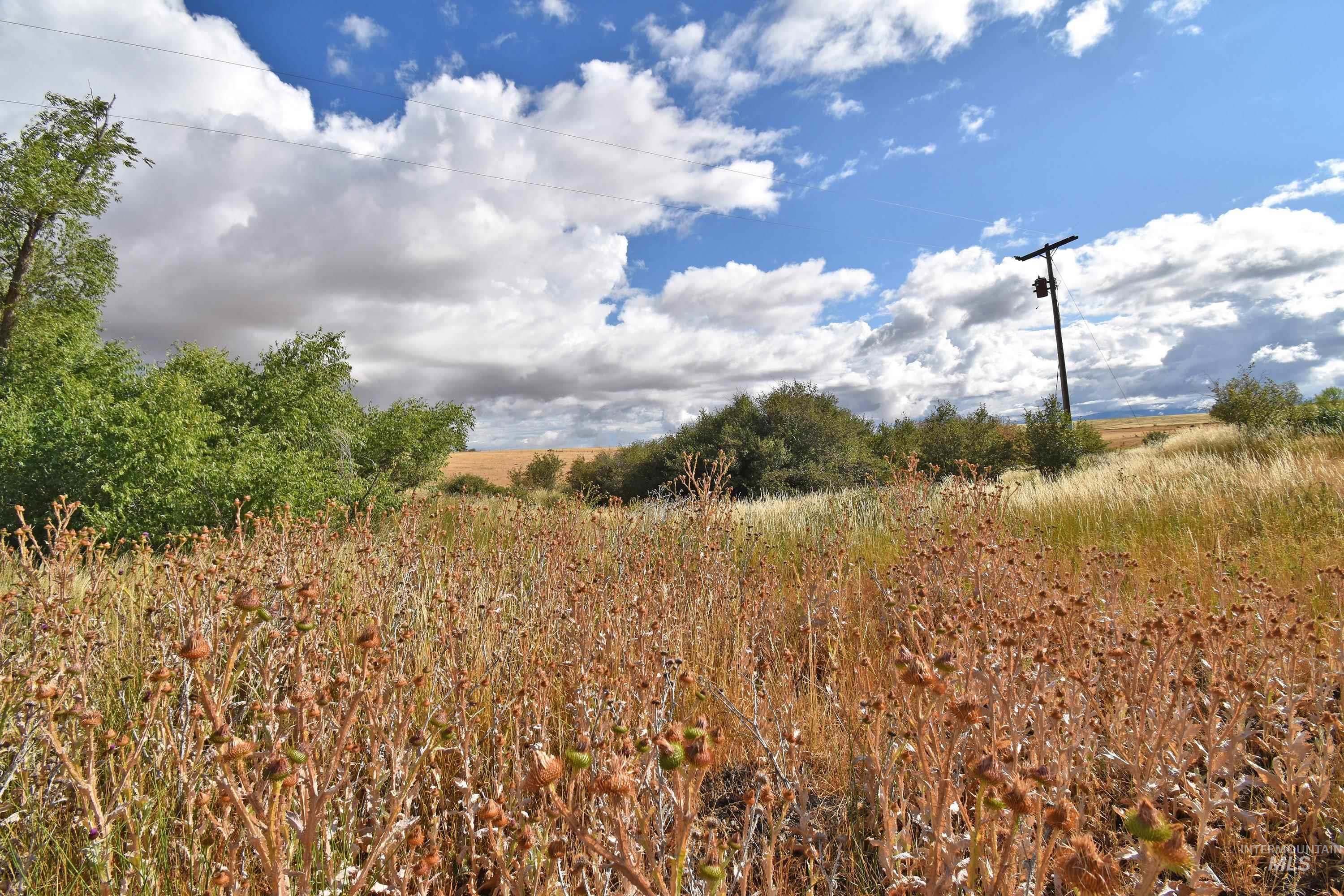 Boyd Lane, Anatone, Washington 99401, Land For Sale, Price $185,000, 98958648