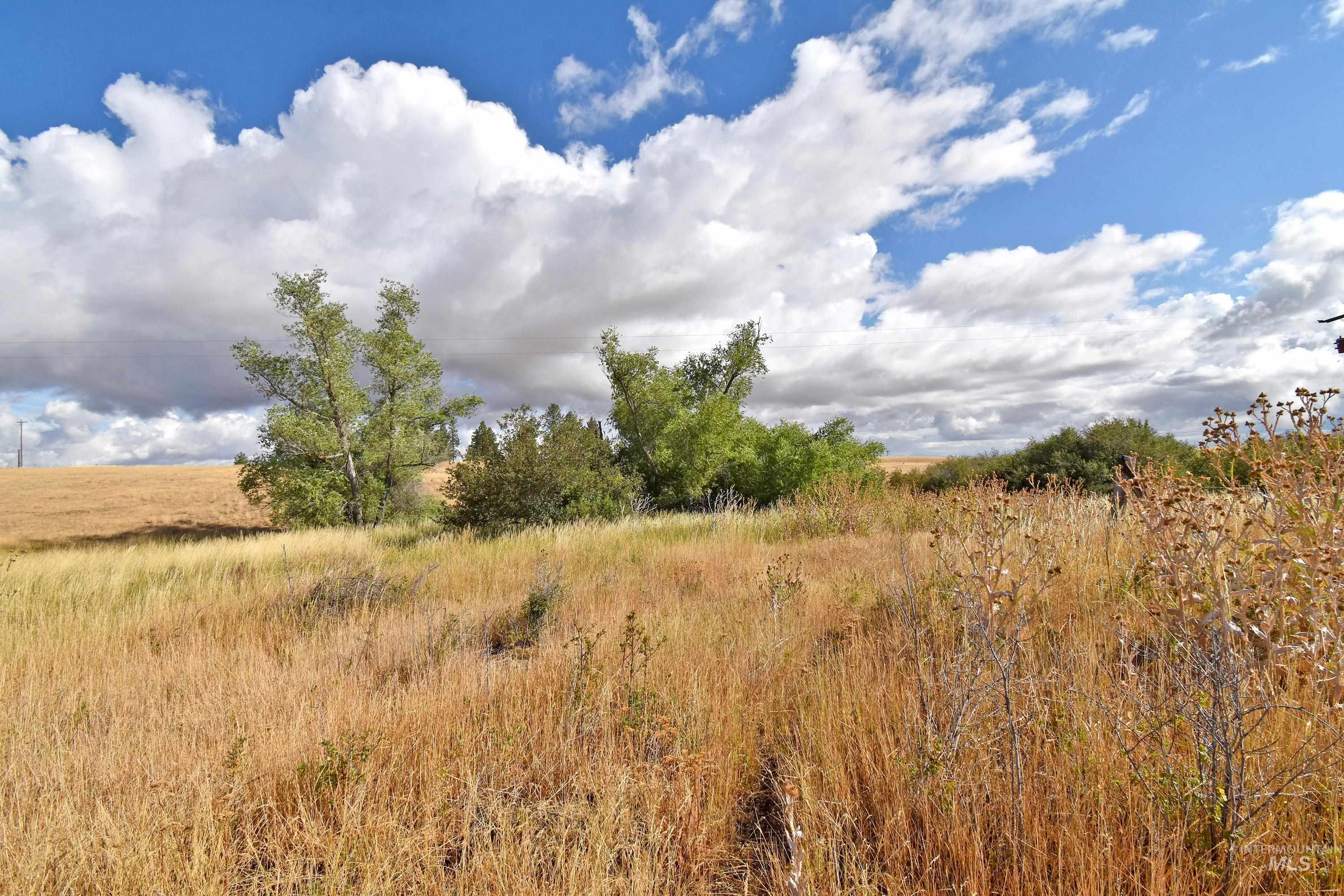 Boyd Lane, Anatone, Washington 99401, Land For Sale, Price $185,000, 98958648