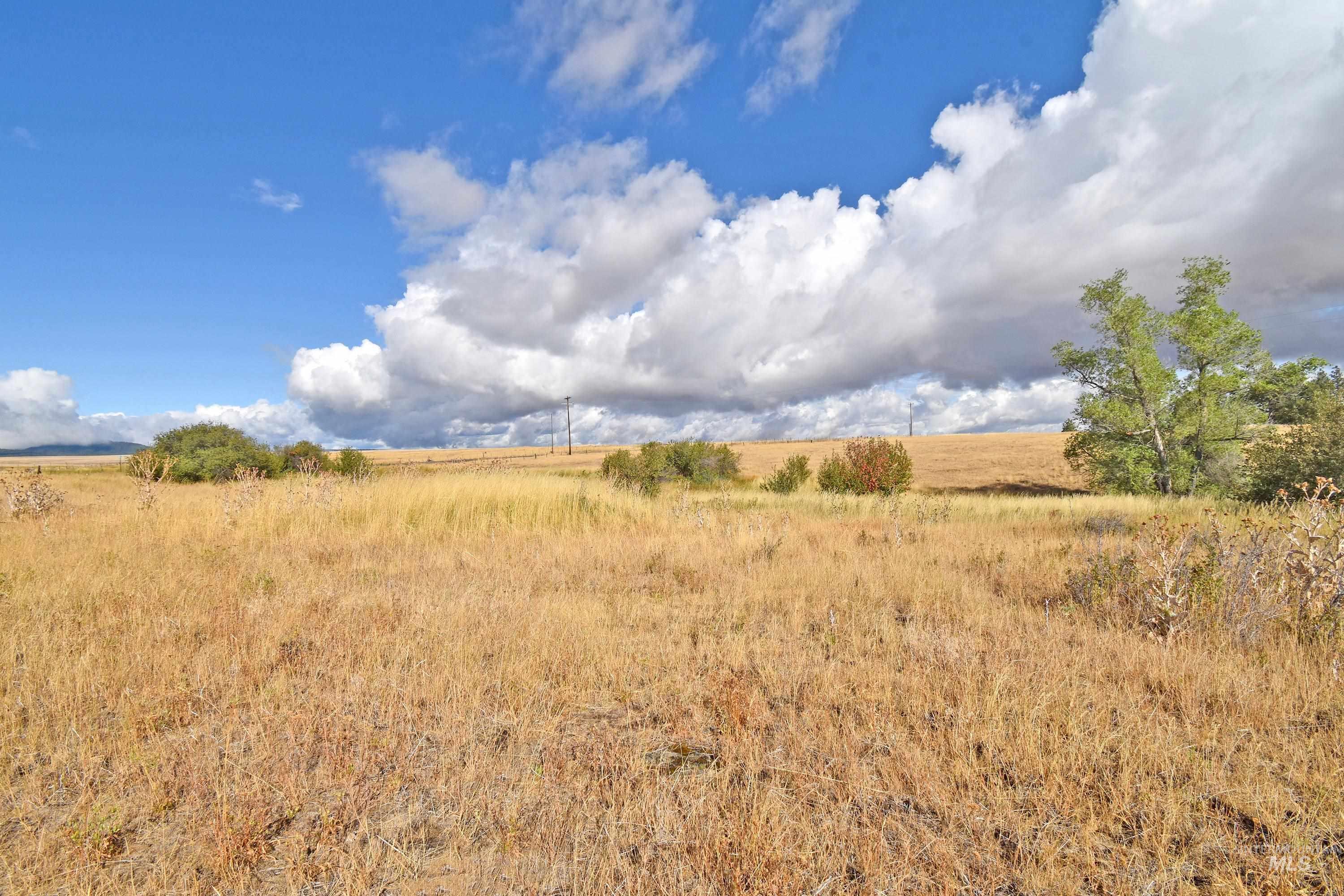 Boyd Lane, Anatone, Washington 99401, Land For Sale, Price $185,000, 98958648