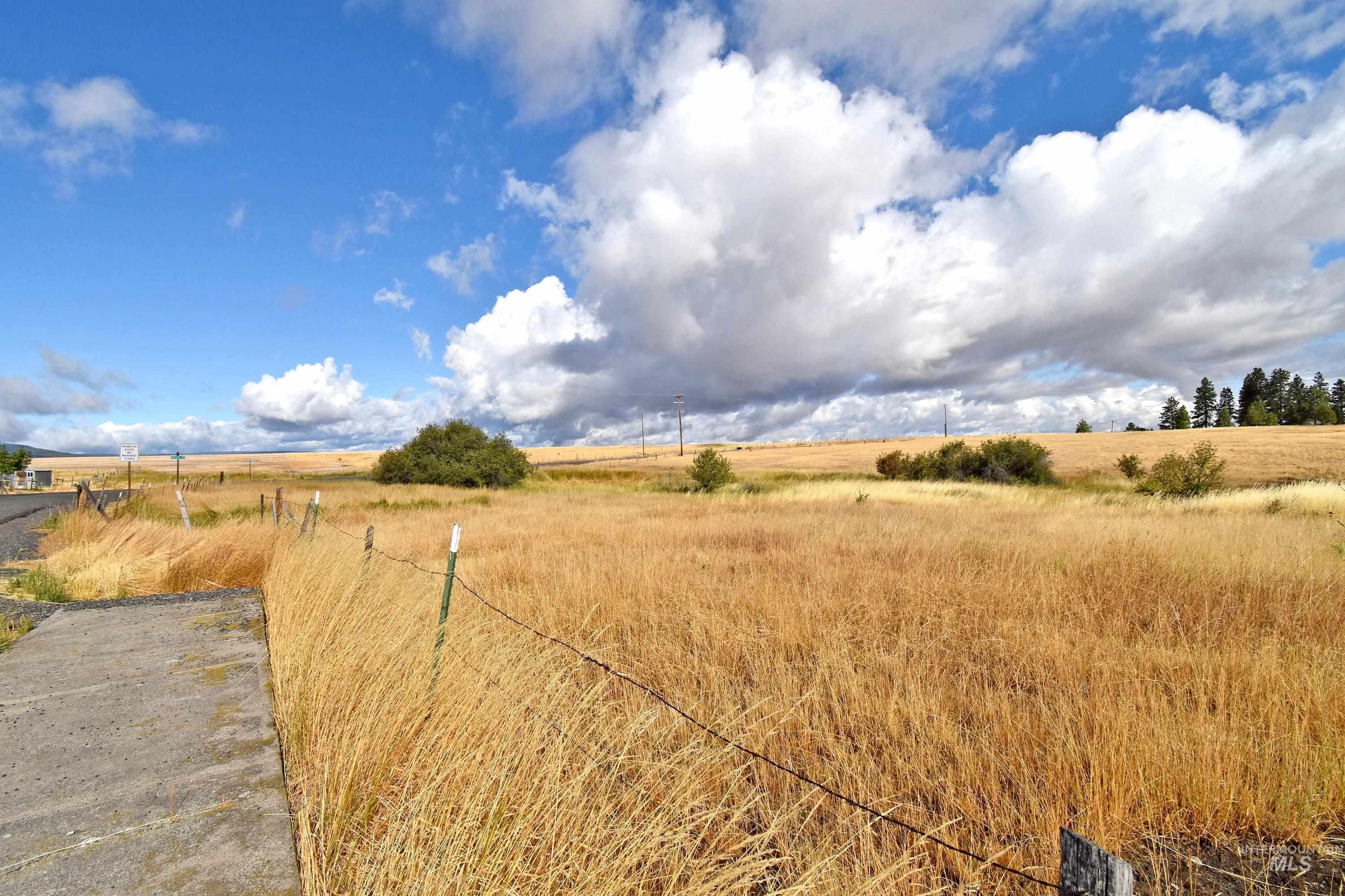 Boyd Lane, Anatone, Washington 99401, Land For Sale, Price $185,000, 98958648