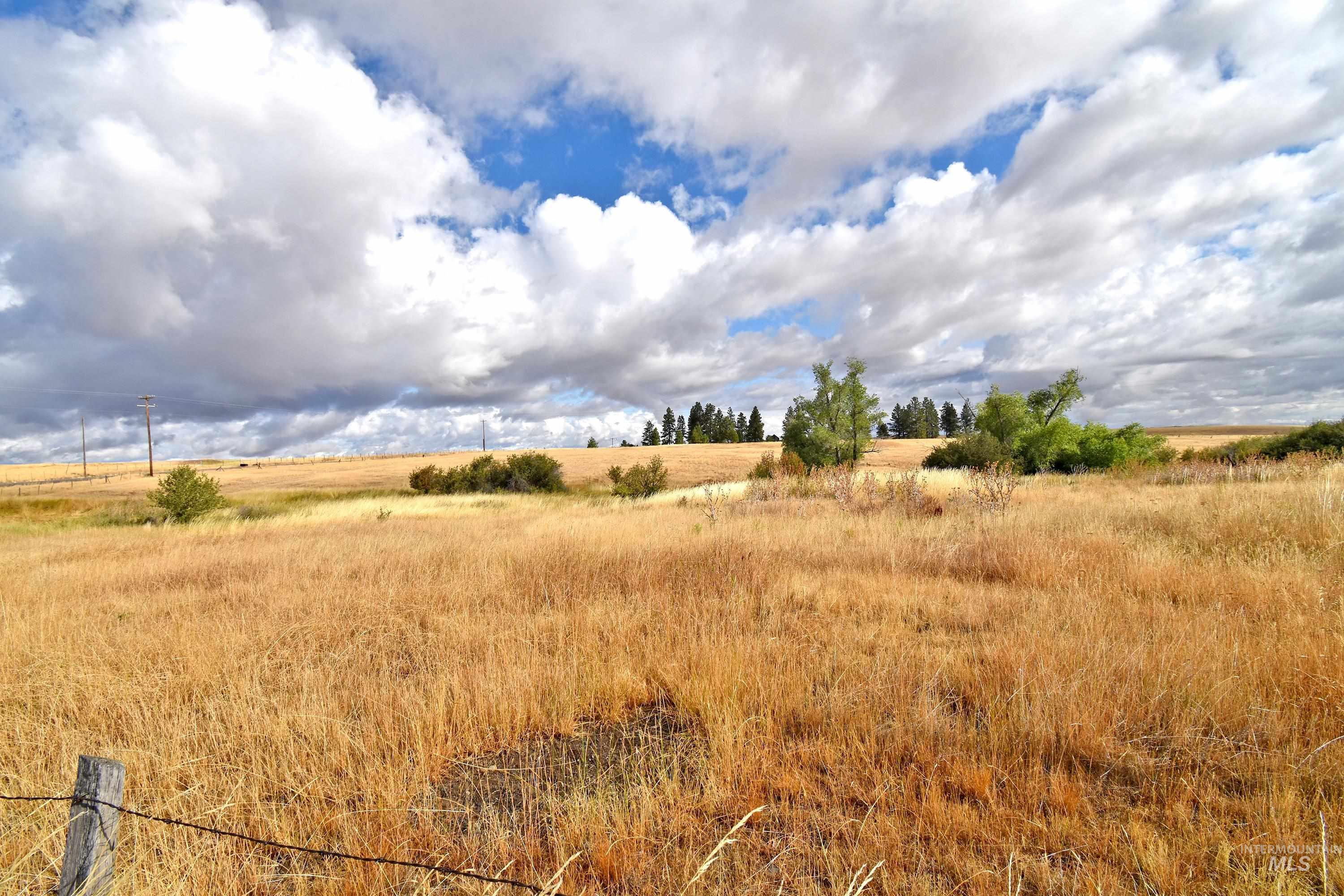 Boyd Lane, Anatone, Washington 99401, Land For Sale, Price $185,000, 98958648