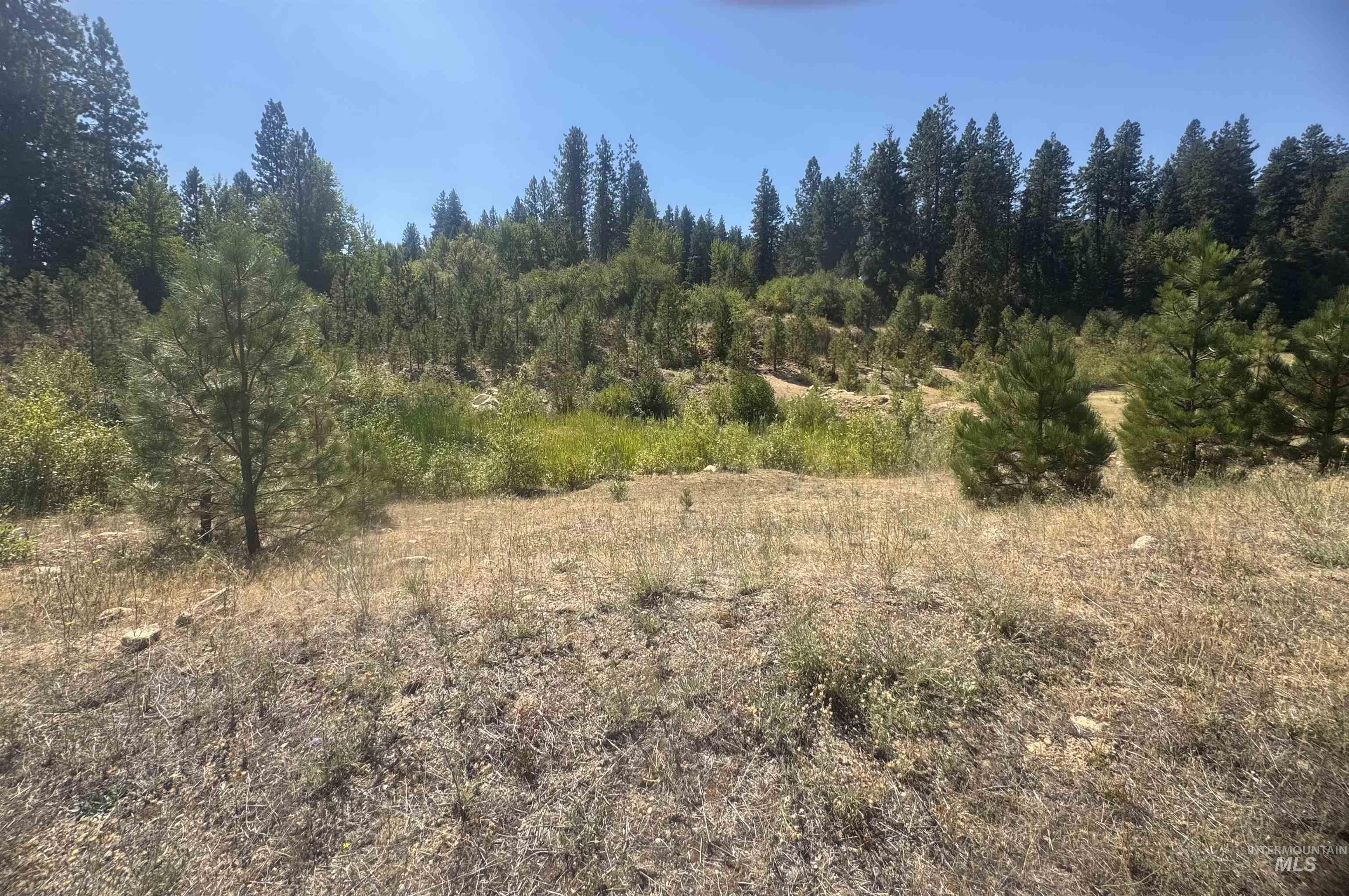 Lot 8 Blk 8 Wapiti Court, Garden Valley, Idaho 83622, Land For Sale, Price $79,900,MLS 98958734
