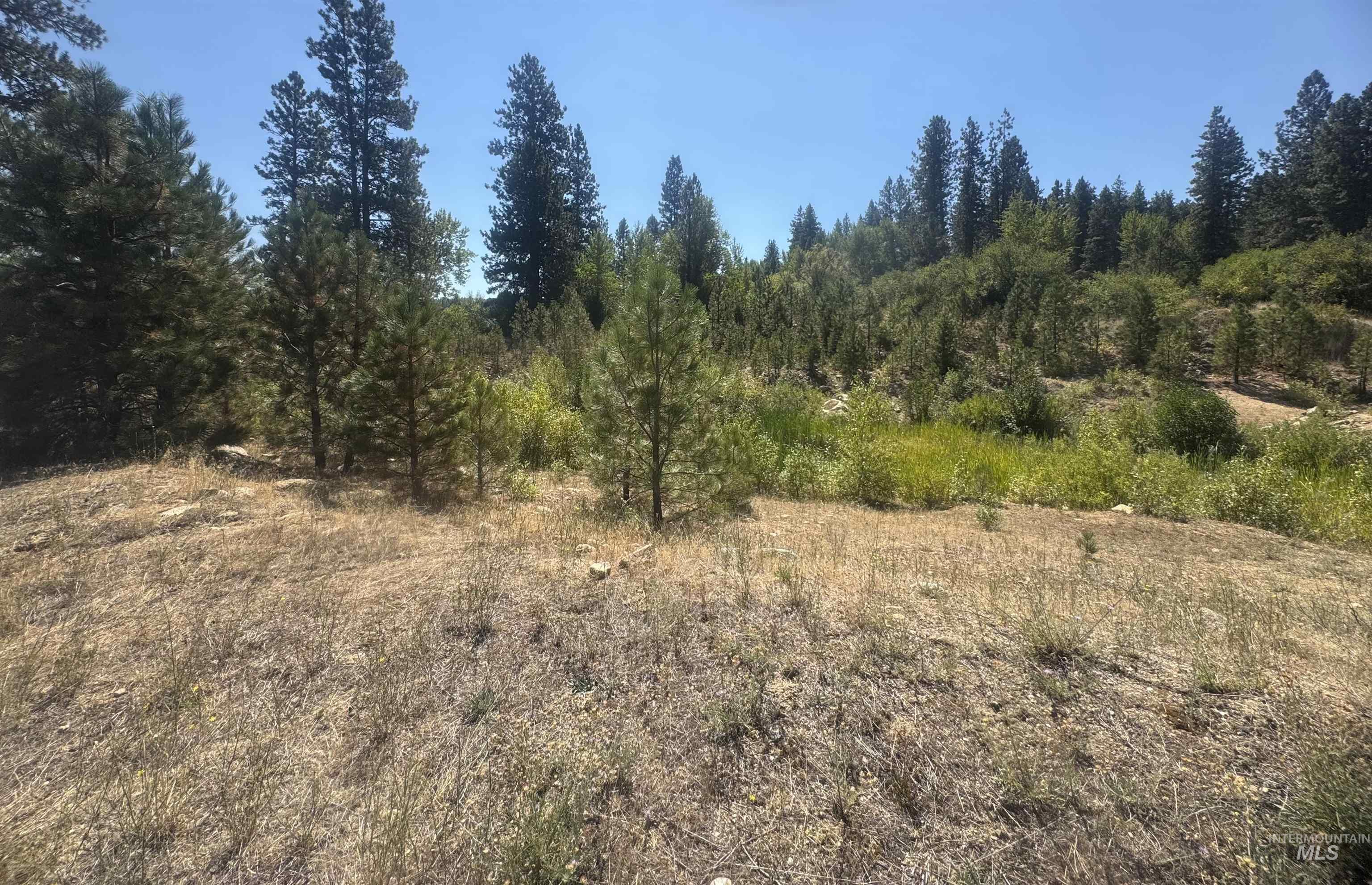 Lot 8 Blk 8 Wapiti Court, Garden Valley, Idaho 83622, Land For Sale, Price $79,900,MLS 98958734
