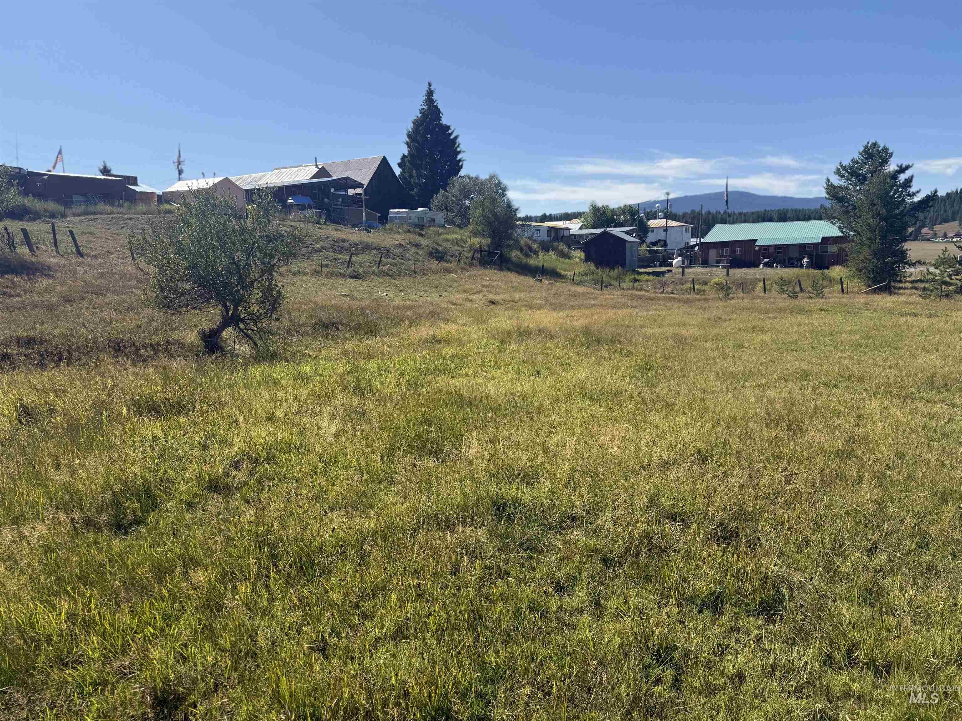 TBD School Drive, Elk City, Idaho 83525, Land For Sale, Price $59,000,MLS 98958757