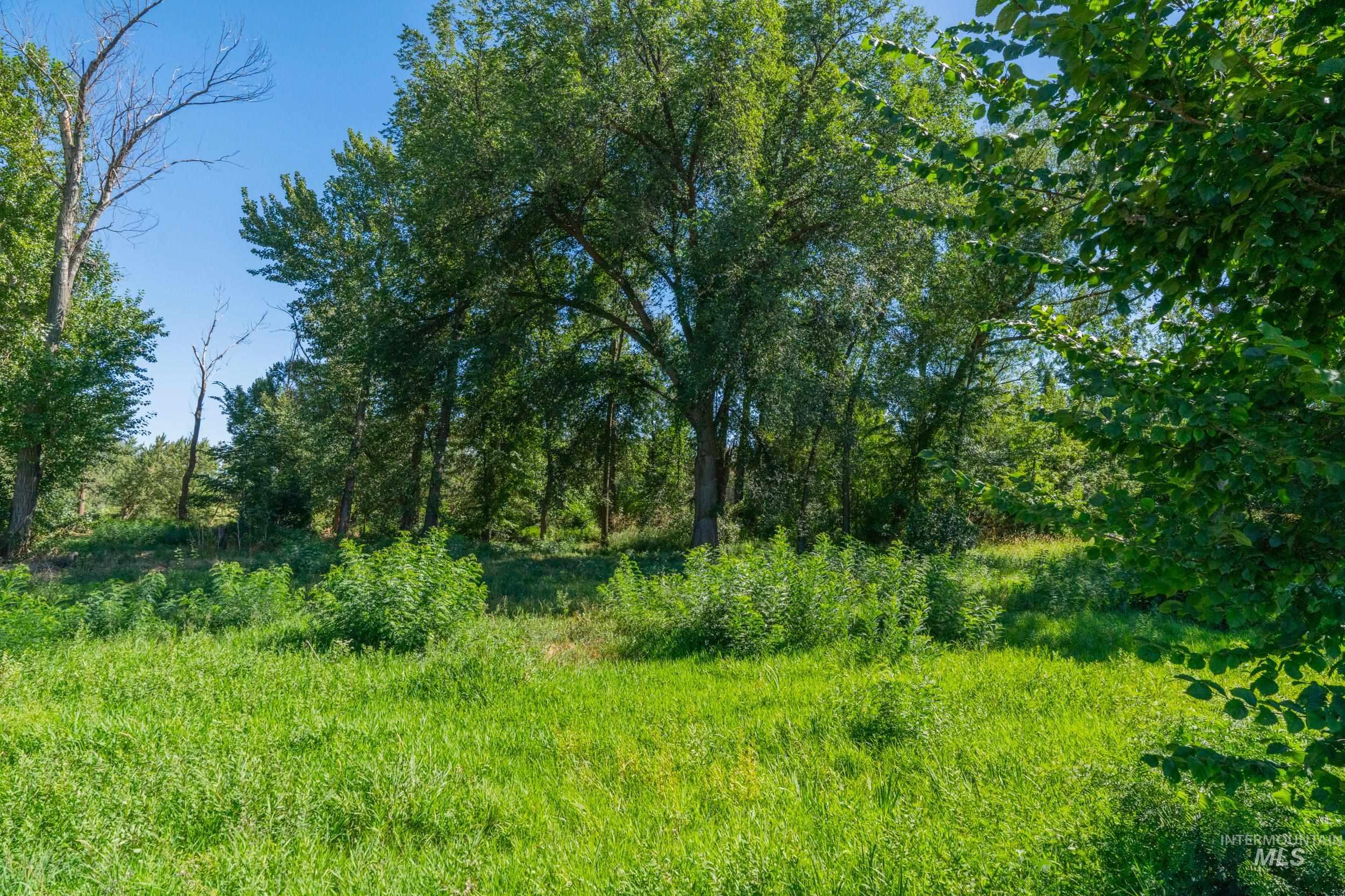 623 Watkins St, Middleton, Idaho 83644, Land For Sale, Price $450,000,MLS 98958923