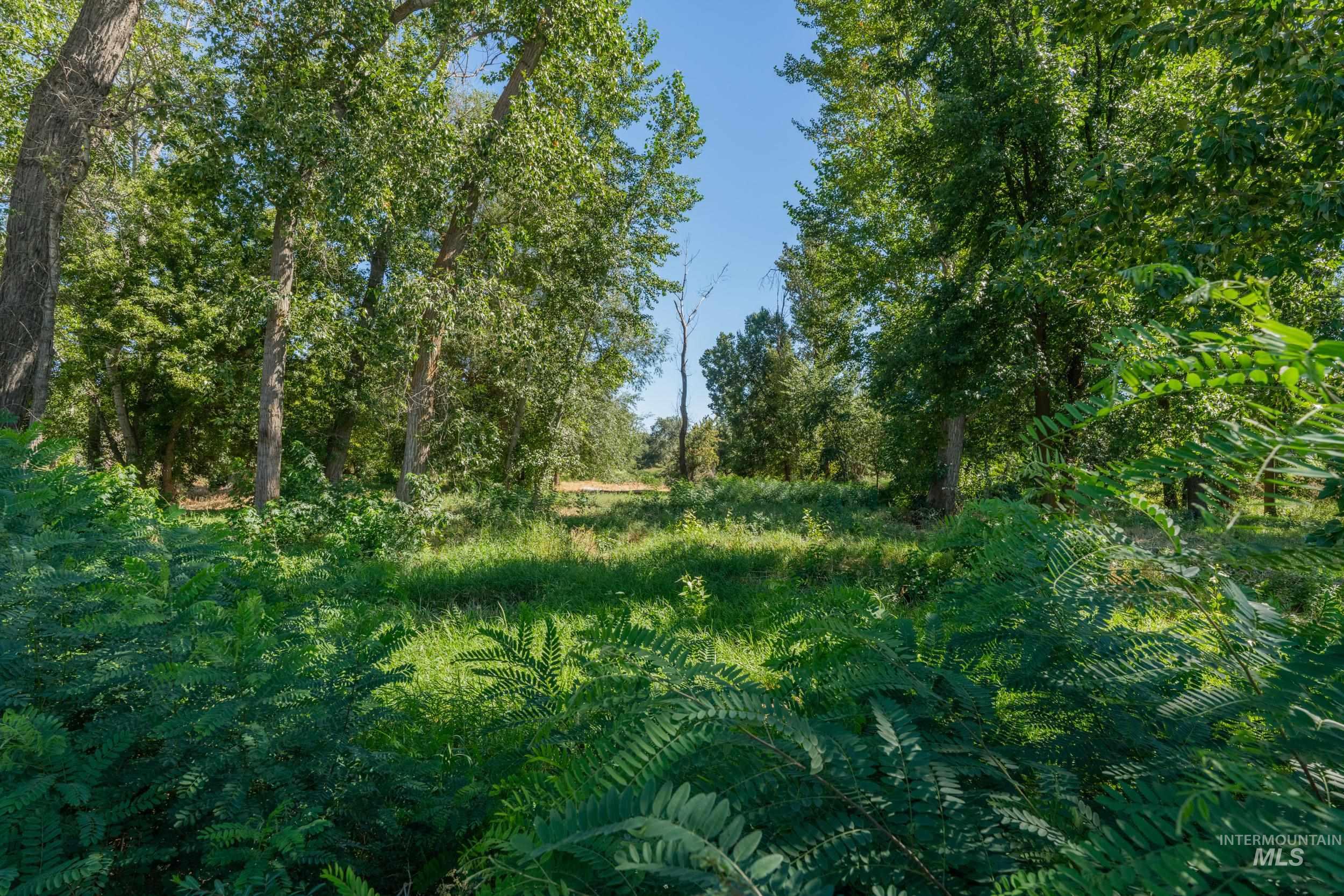 623 Watkins St, Middleton, Idaho 83644, Land For Sale, Price $450,000,MLS 98958923