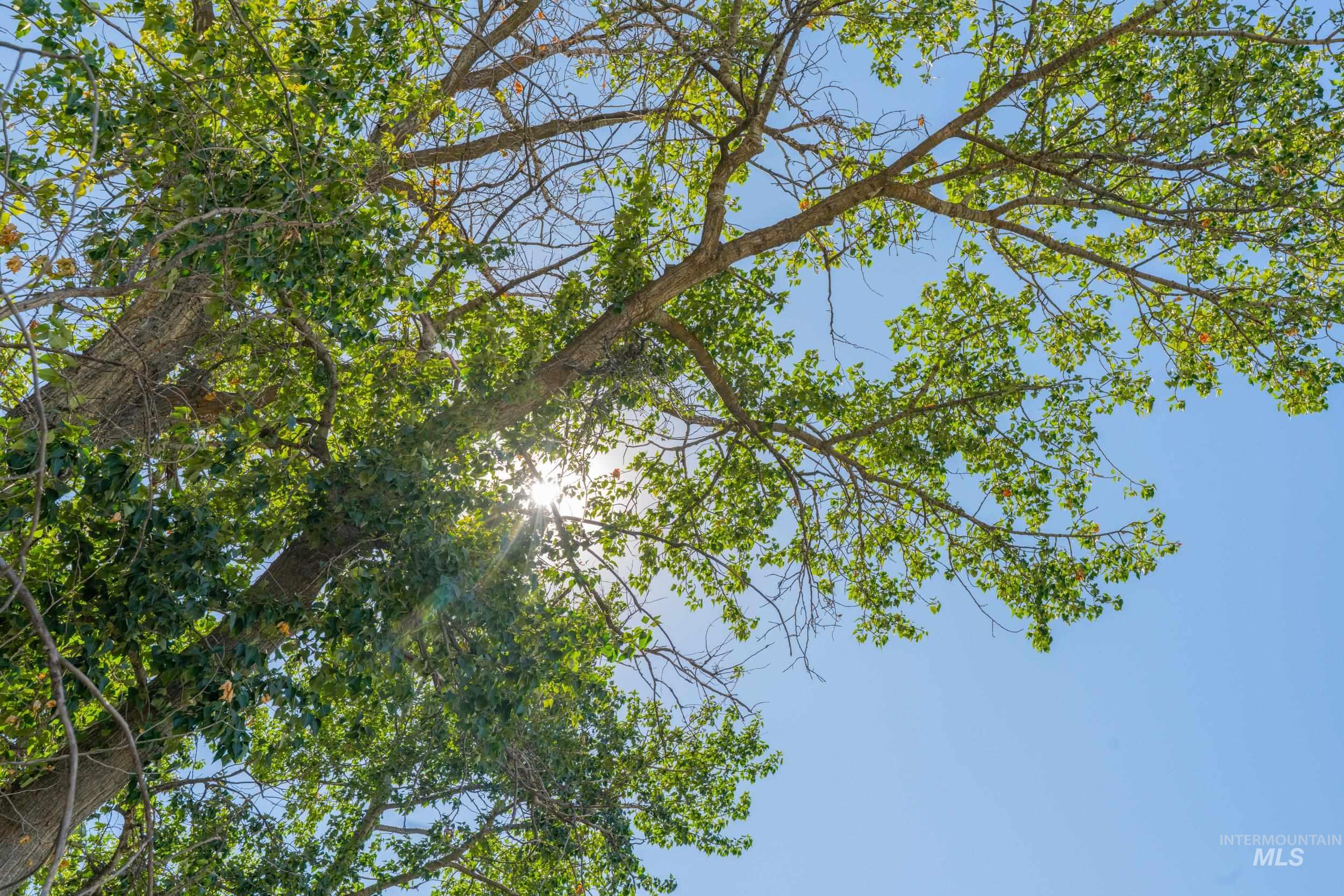 623 Watkins St, Middleton, Idaho 83644, Land For Sale, Price $450,000,MLS 98958923