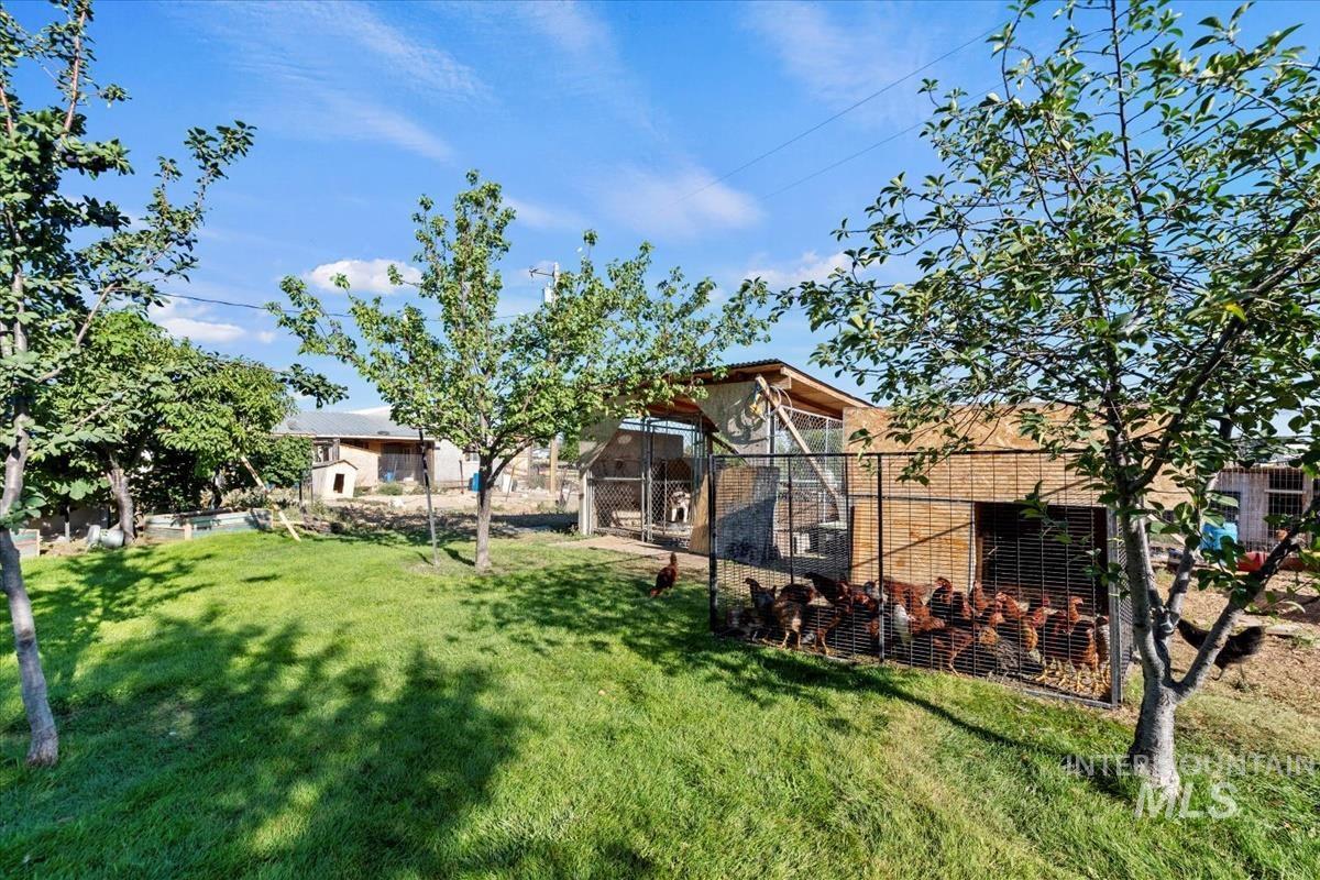 1153 N Big Tree Ln, Kuna, Idaho 83634, 3 Bedrooms, 2 Bathrooms, Residential For Sale, Price $799,900,MLS 98958937