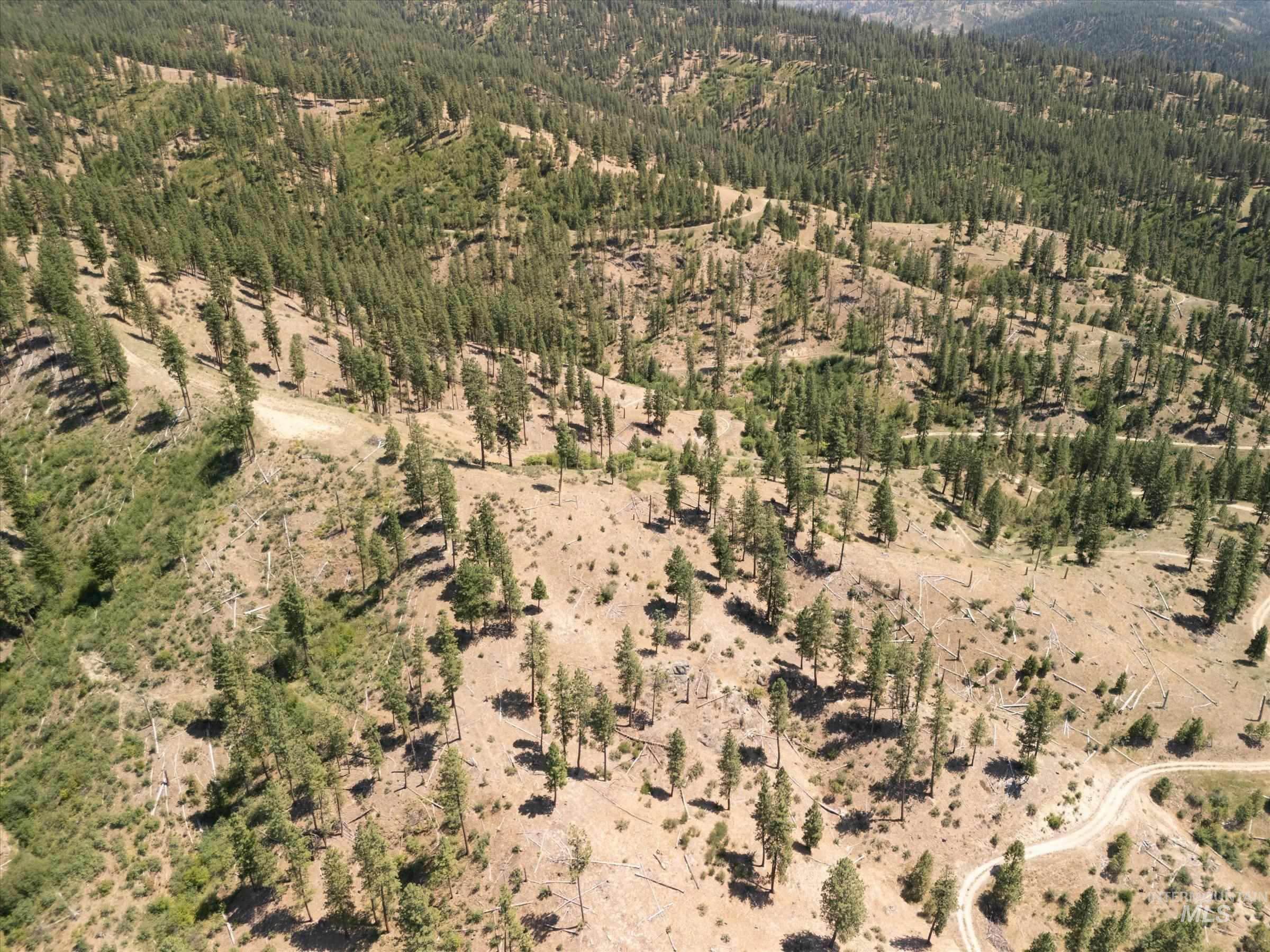 TBD Lot A Coulter Lane, Garden Valley, Idaho 83622, Land For Sale, Price $349,000,MLS 98958960