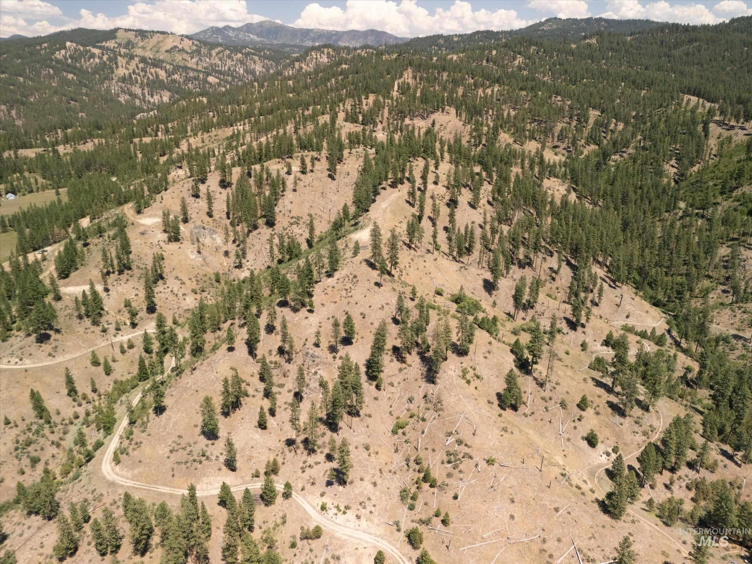 TBD Lot A Coulter Lane, Garden Valley, Idaho 83622, Land For Sale, Price $349,000,MLS 98958960