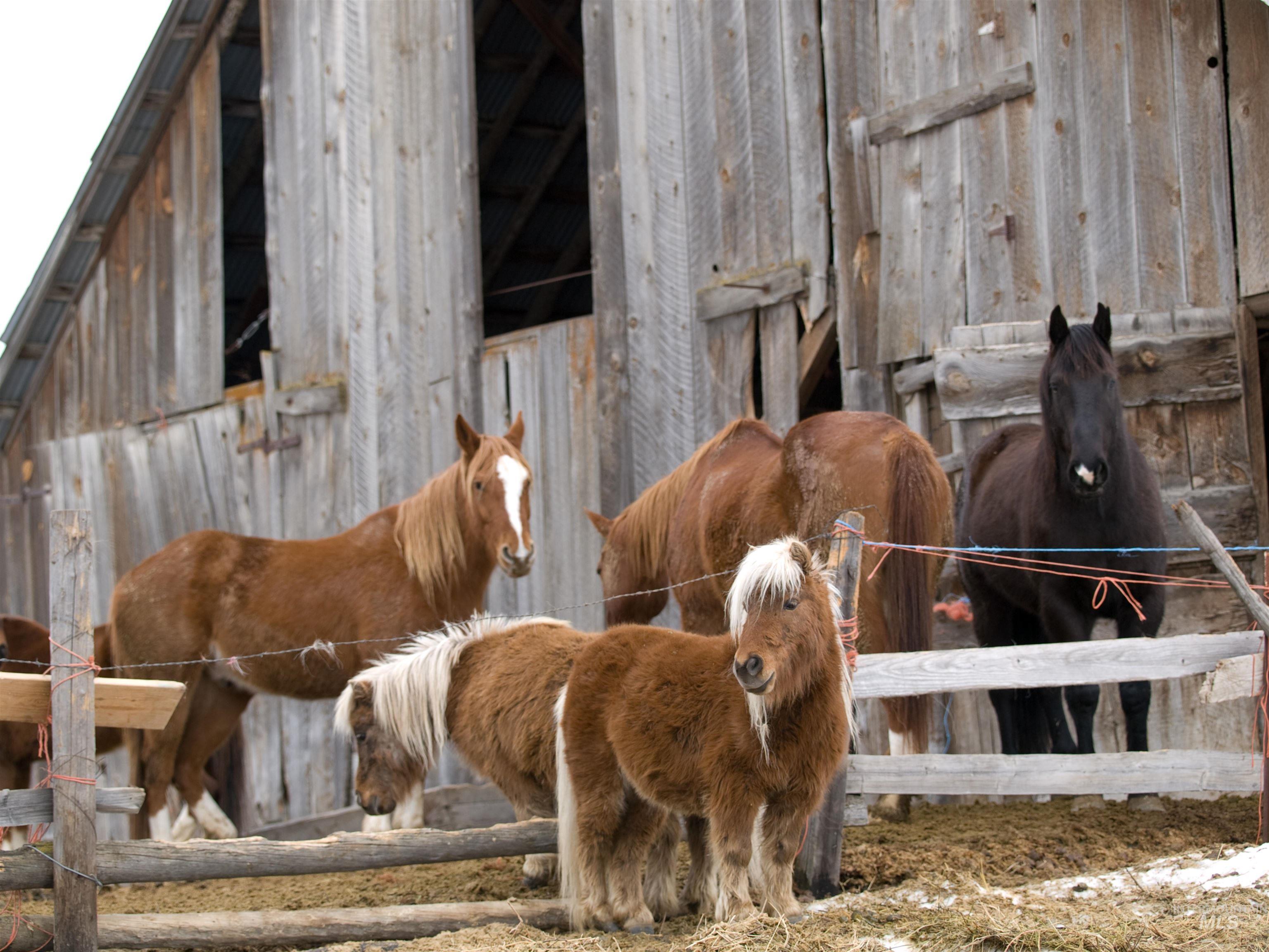 BLK 7 LOT 26 Singing Springs Way, Garden Valley, Idaho 83622, Land For Sale, Price $105,000,MLS 98959116