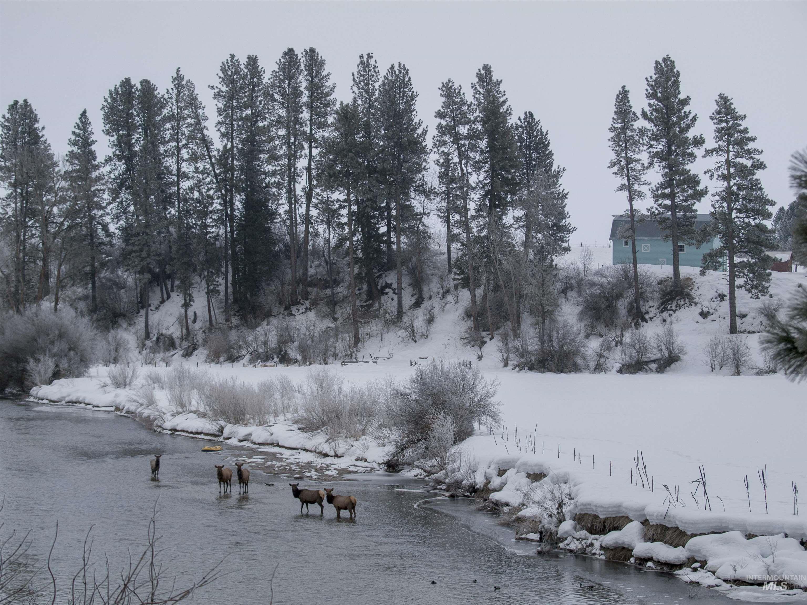 BLK 8 LOT 22 Wapiti Ct, Garden Valley, Idaho 83622, Land For Sale, Price $75,000,MLS 98959118