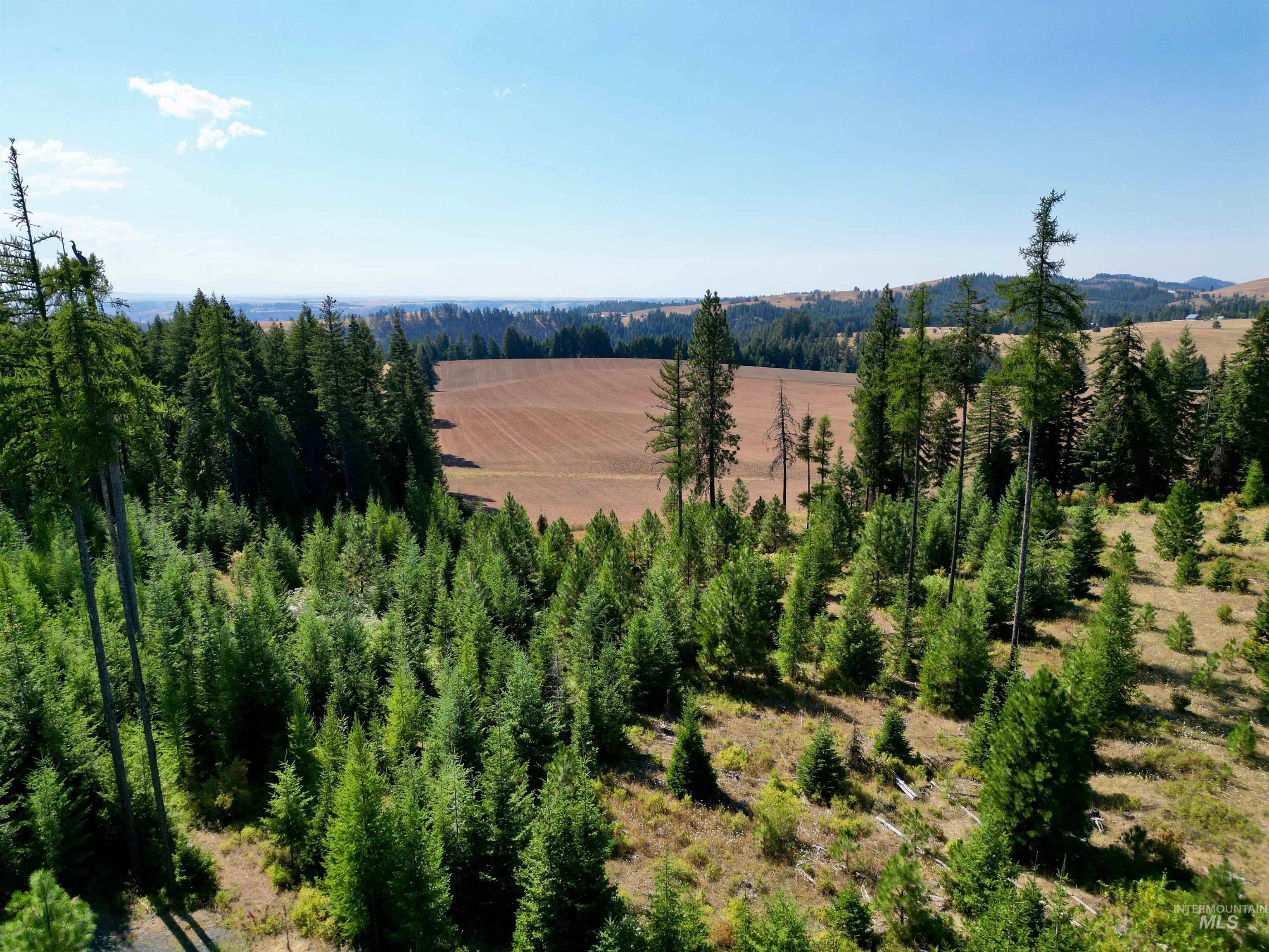 TBD Parcel 1 Peaceful Valley Rd, Kamiah, Idaho 83536, Land For Sale, Price $149,000, 98959278