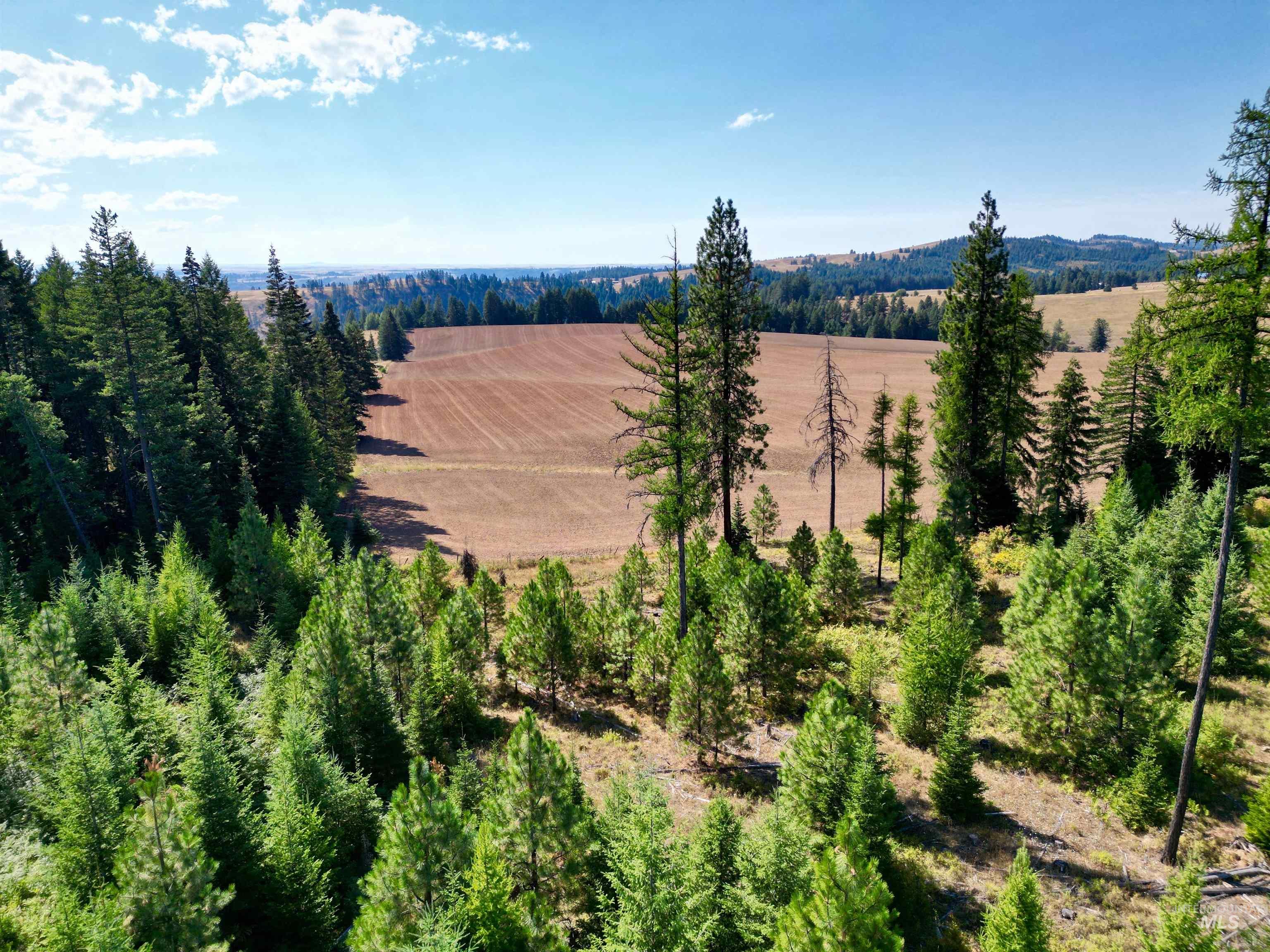TBD Parcel 1 Peaceful Valley Rd, Kamiah, Idaho 83536, Land For Sale, Price $149,000, 98959278