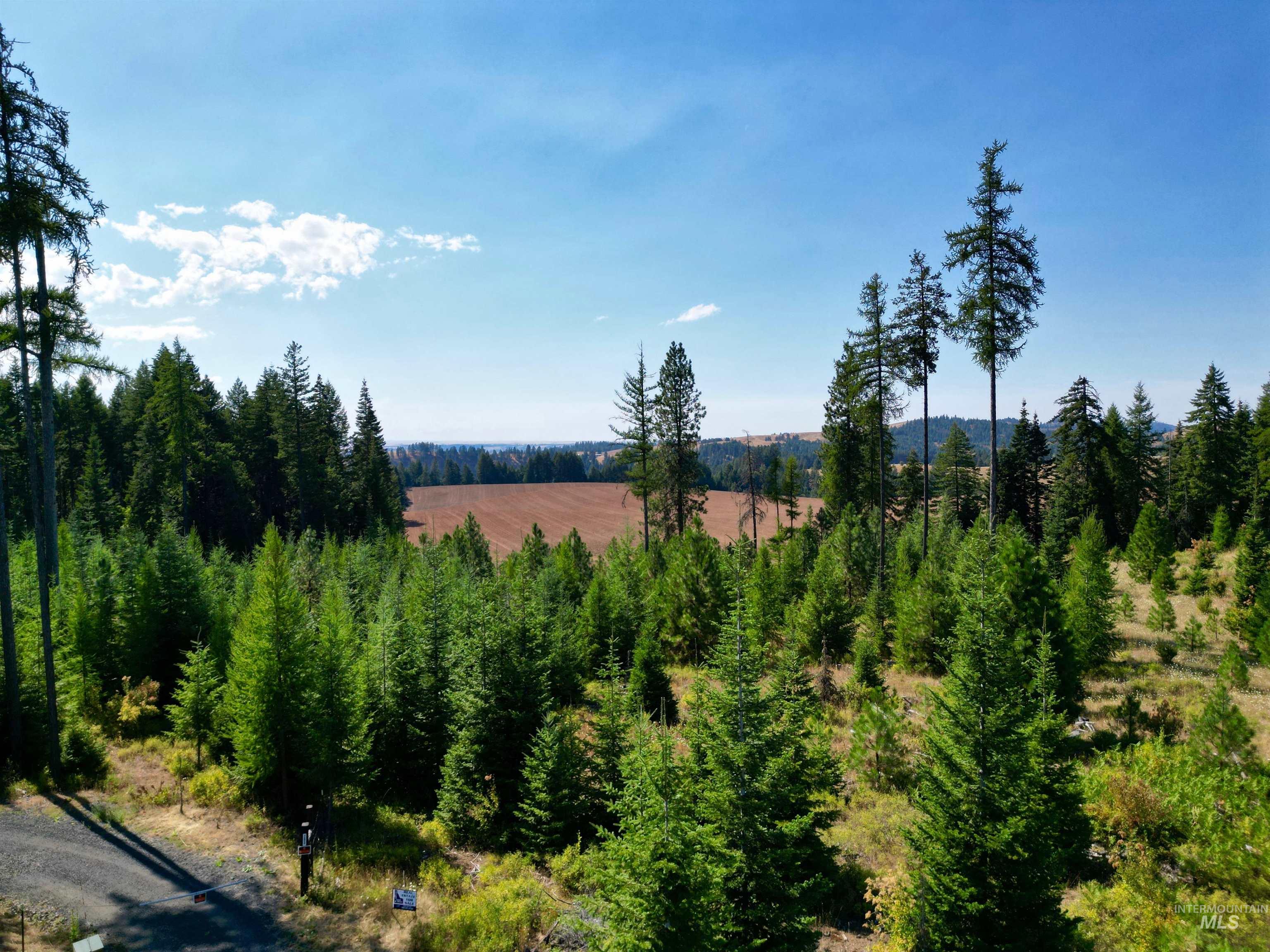 TBD Parcel 1 Peaceful Valley Rd, Kamiah, Idaho 83536, Land For Sale, Price $149,000, 98959278