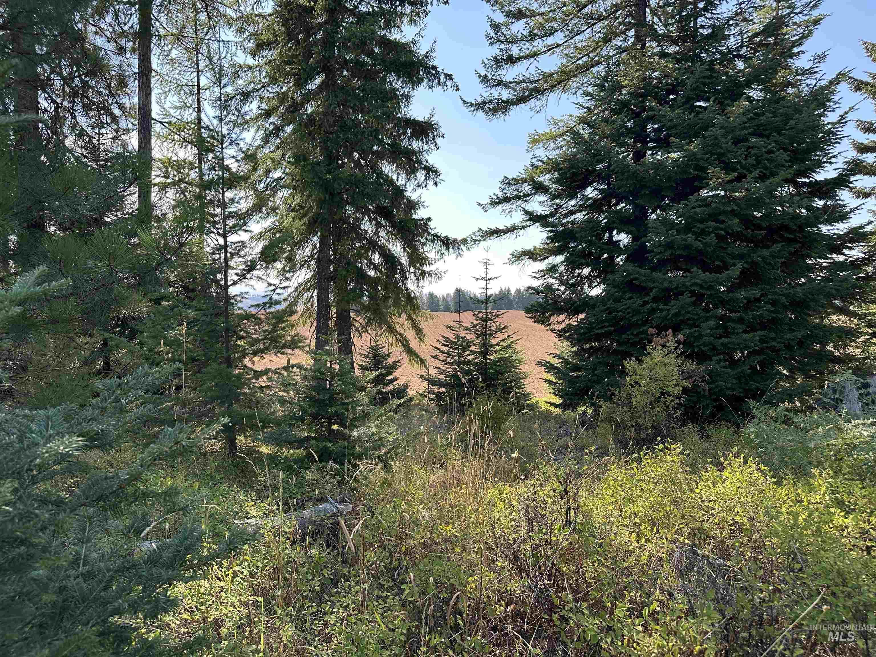 TBD Parcel 1 Peaceful Valley Rd, Kamiah, Idaho 83536, Land For Sale, Price $149,000, 98959278