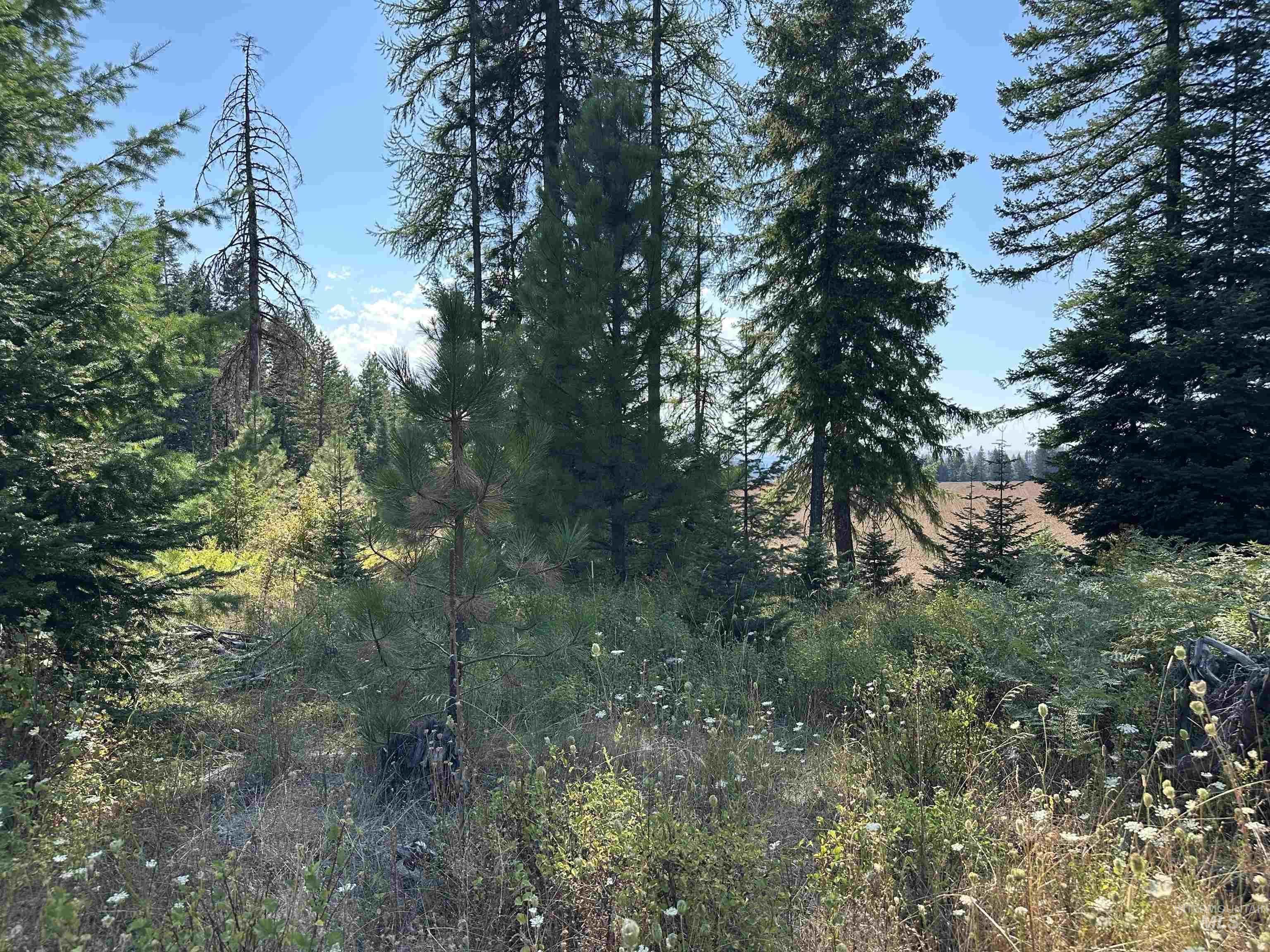 TBD Parcel 1 Peaceful Valley Rd, Kamiah, Idaho 83536, Land For Sale, Price $149,000, 98959278