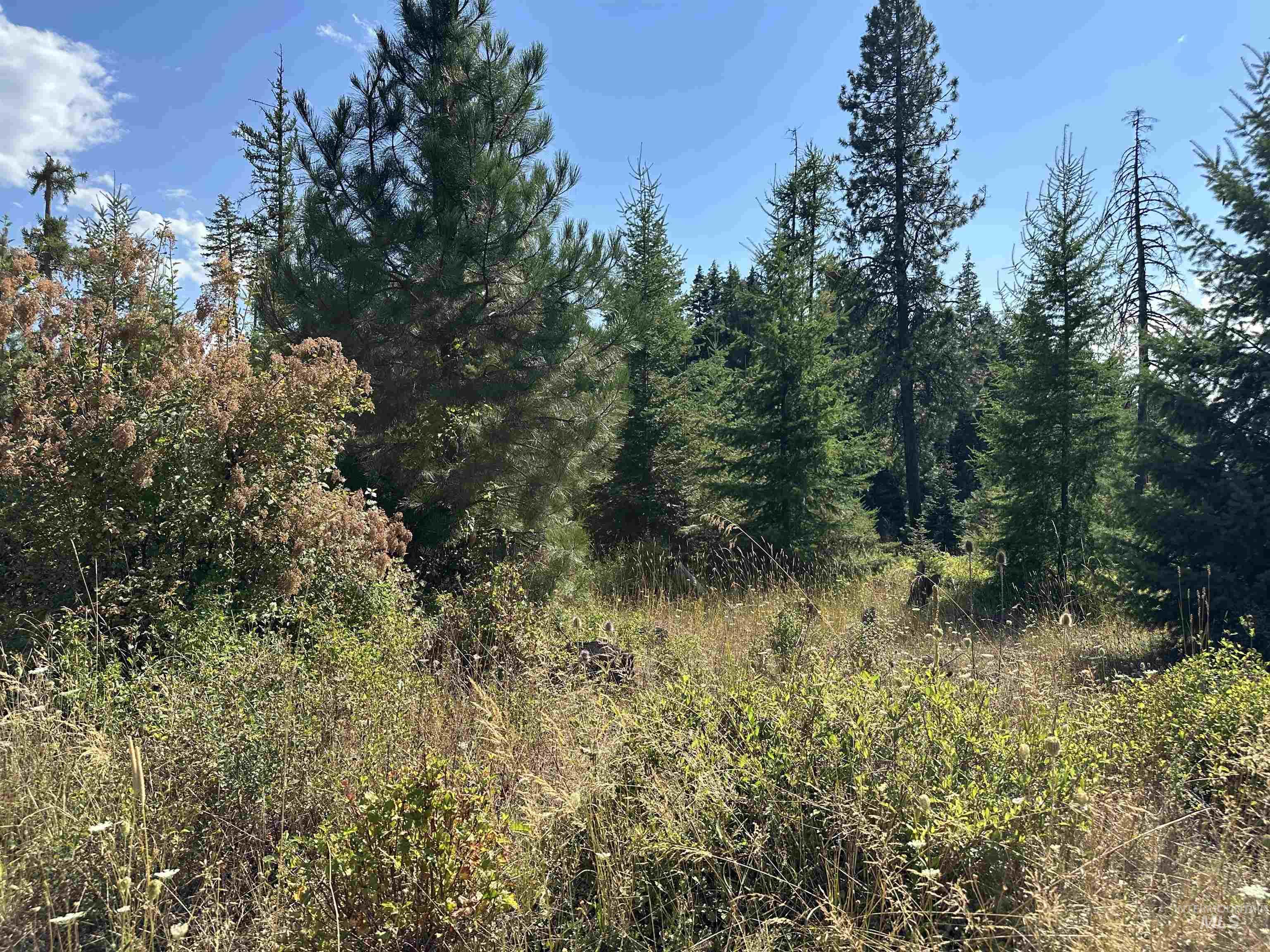 TBD Parcel 1 Peaceful Valley Rd, Kamiah, Idaho 83536, Land For Sale, Price $149,000, 98959278