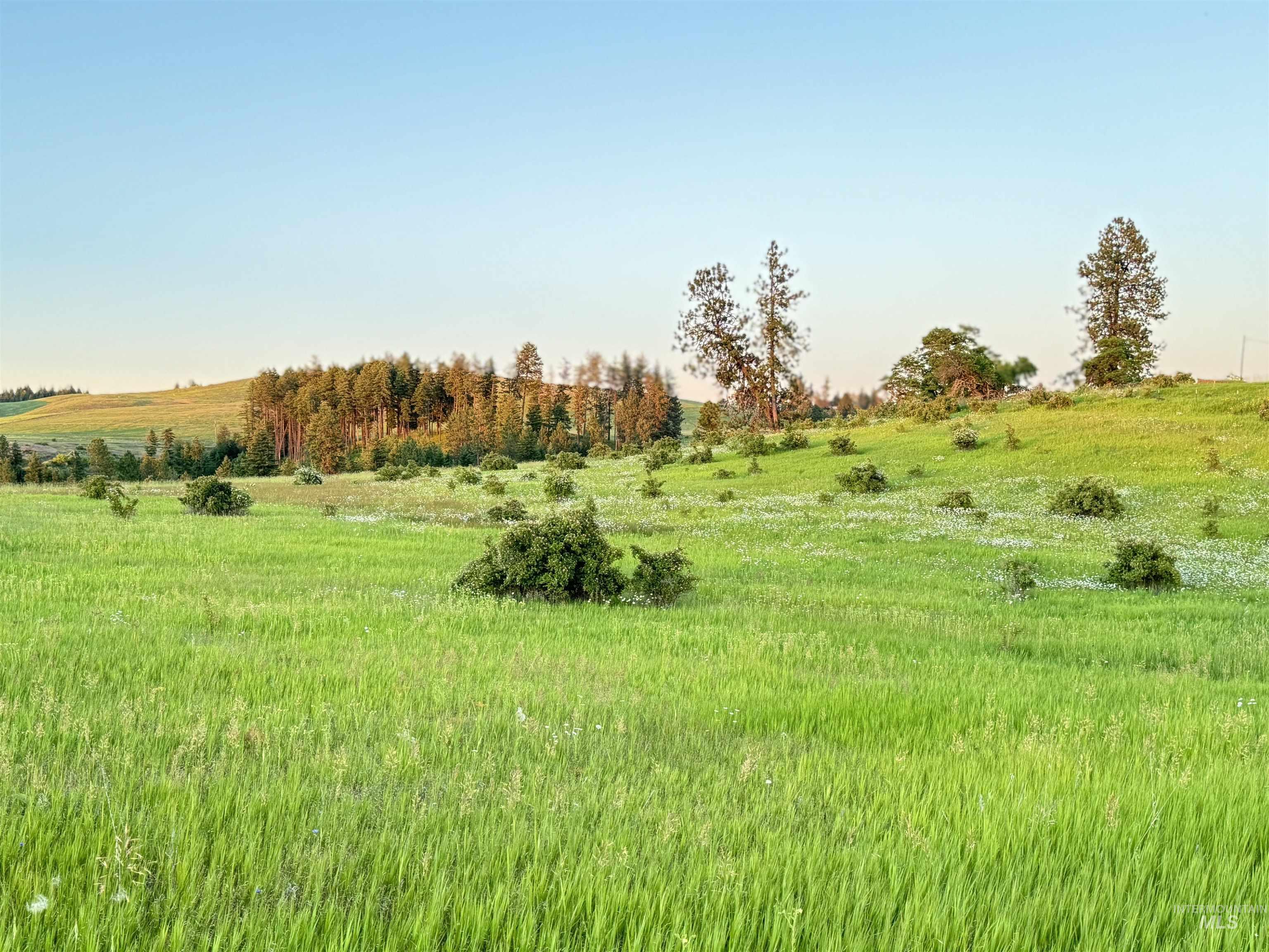 TBD-17 Acres Beaverslide Rd, Kamiah, Idaho 83536, Land For Sale, Price $323,000,MLS 98959363