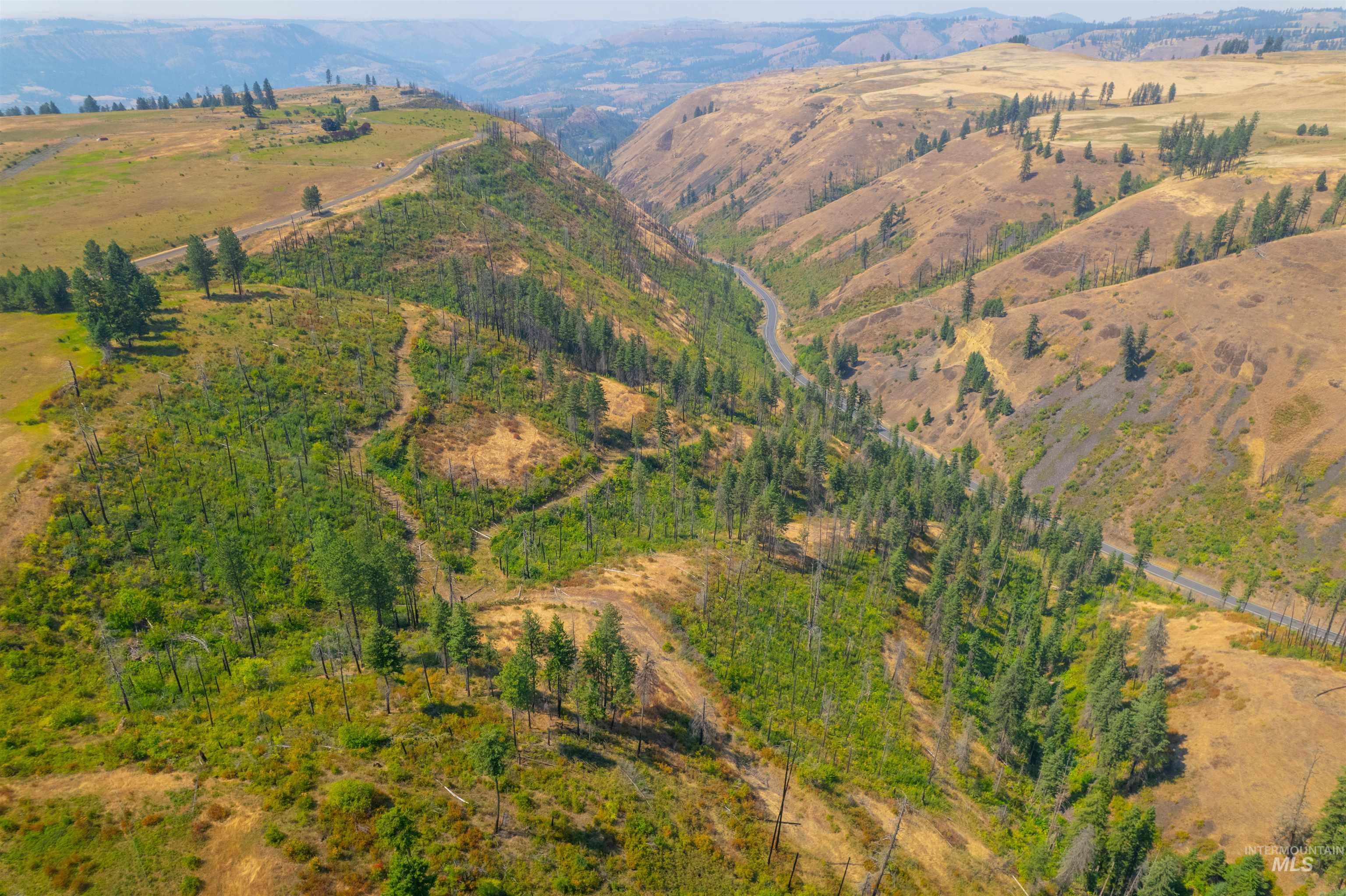 TBD-17 Acres Beaverslide Rd, Kamiah, Idaho 83536, Land For Sale, Price $323,000,MLS 98959363