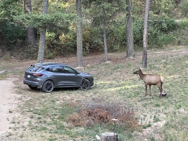 70 Castle Mountain Dr, Garden Valley, Idaho 83622, 2 Bedrooms, 2 Bathrooms, Residential For Sale, Price $575,000,MLS 98959389