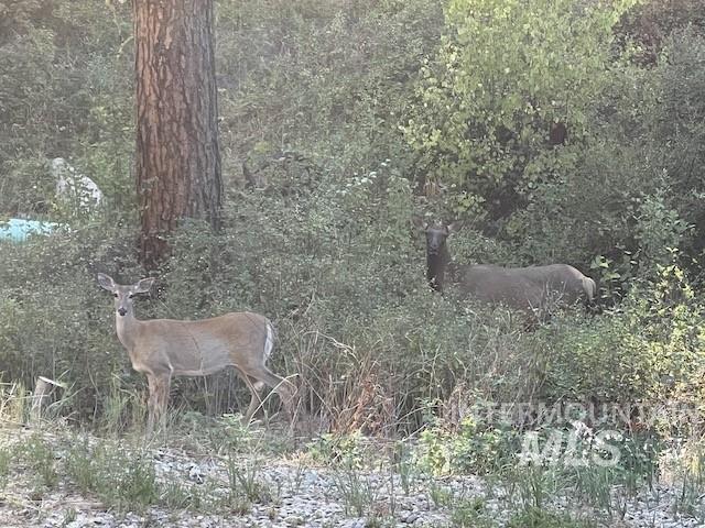 70 Castle Mountain Dr, Garden Valley, Idaho 83622, 2 Bedrooms, 2 Bathrooms, Residential For Sale, Price $575,000,MLS 98959389