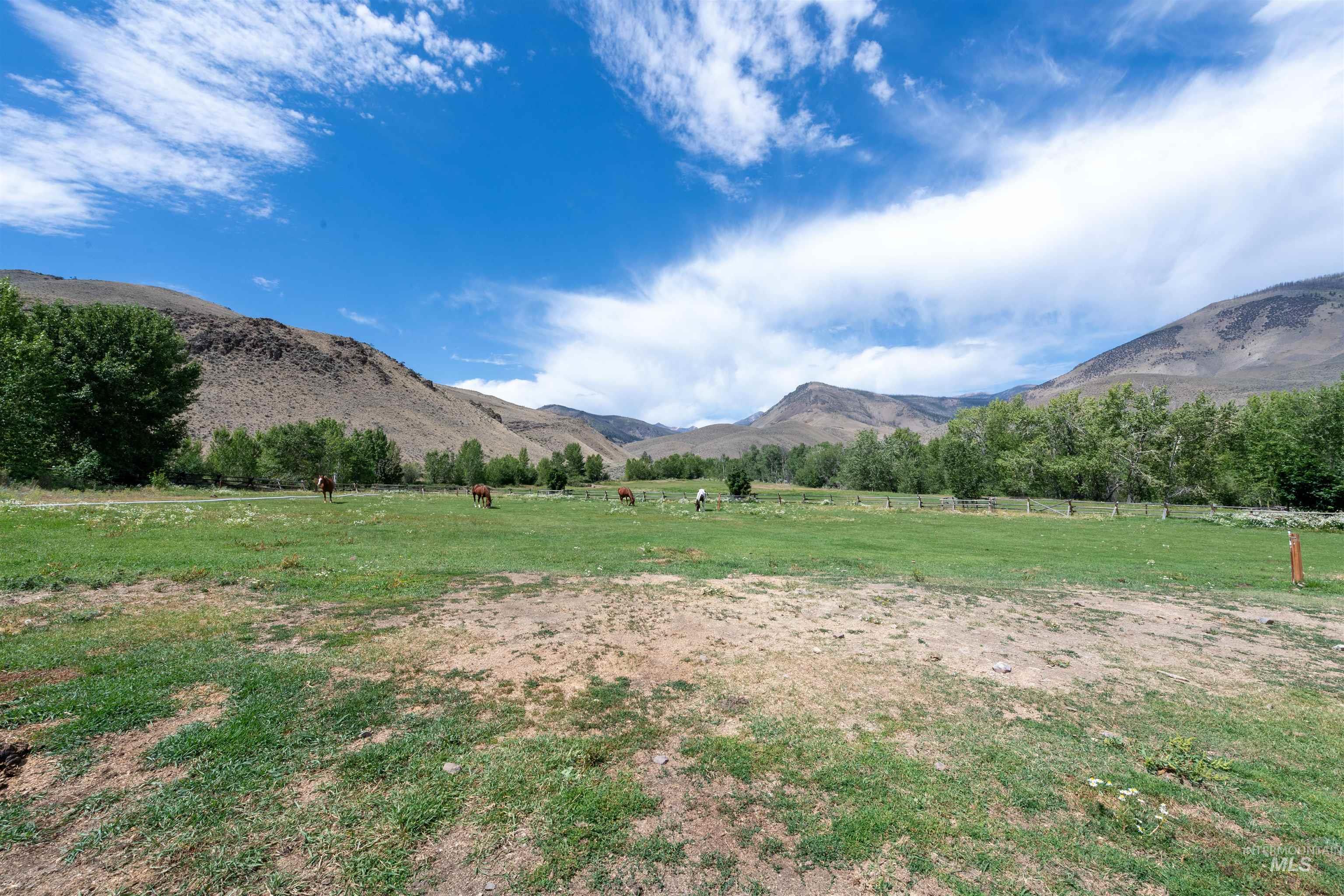 9885 Challis Creek Rd., Challis, Idaho 83226, 5 Bedrooms, 4 Bathrooms, Farm & Ranch For Sale, Price $1,550,000, 98959536