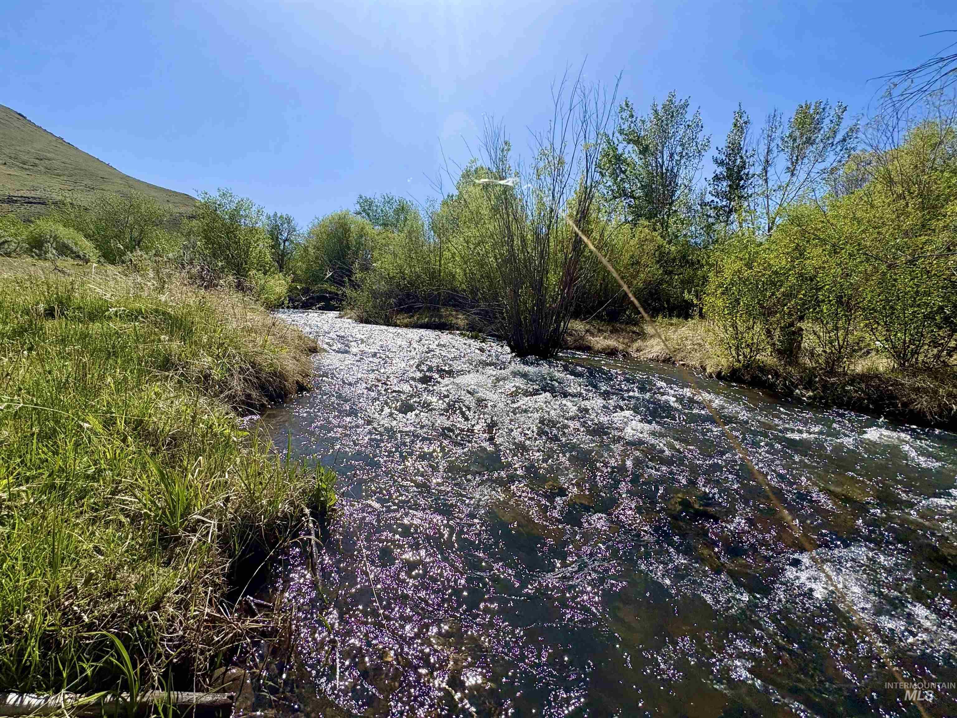 9885 Challis Creek Rd., Challis, Idaho 83226, 5 Bedrooms, 4 Bathrooms, Farm & Ranch For Sale, Price $1,550,000, 98959536