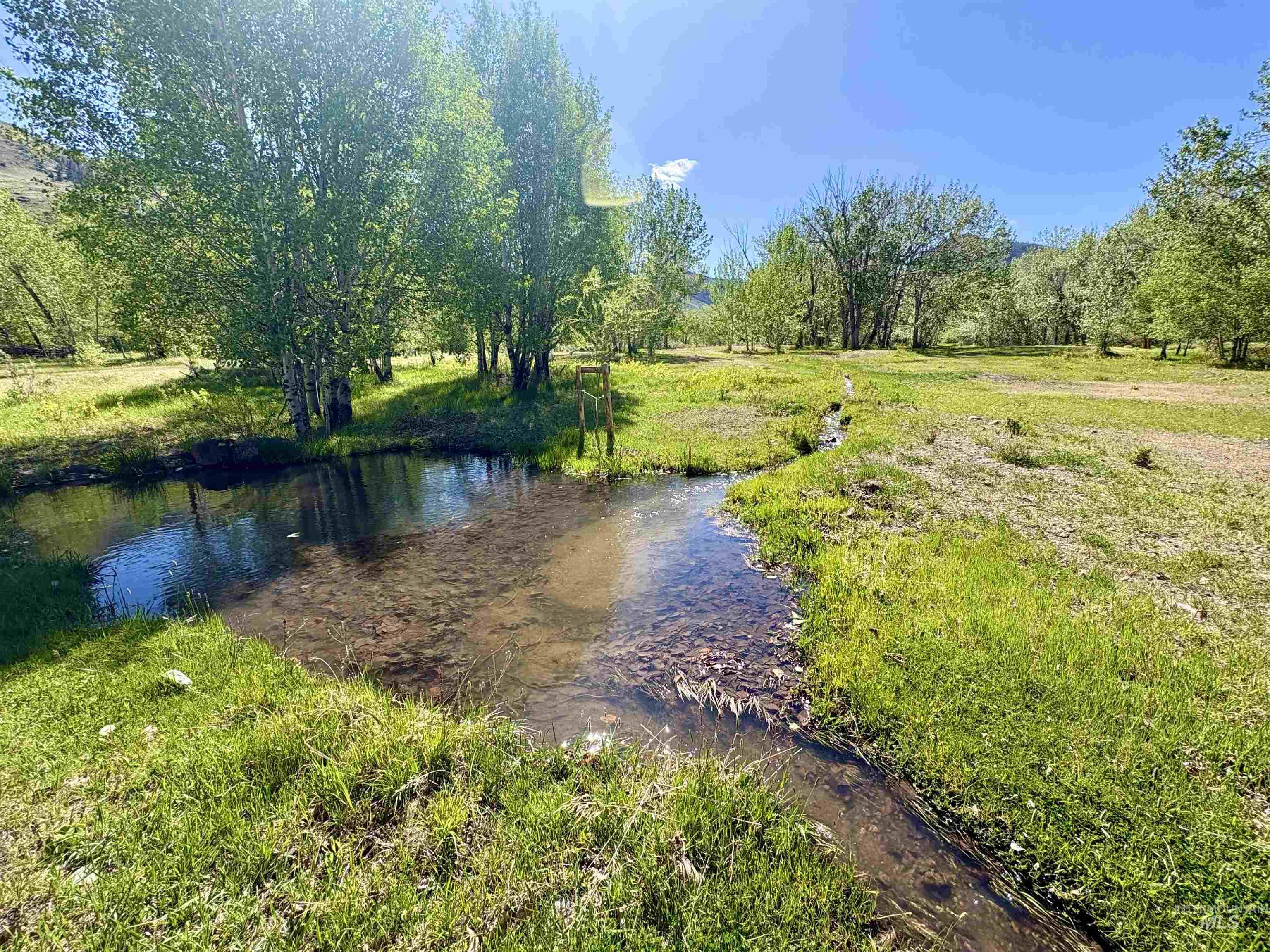 9885 Challis Creek Rd., Challis, Idaho 83226, 5 Bedrooms, 4 Bathrooms, Farm & Ranch For Sale, Price $1,550,000, 98959536