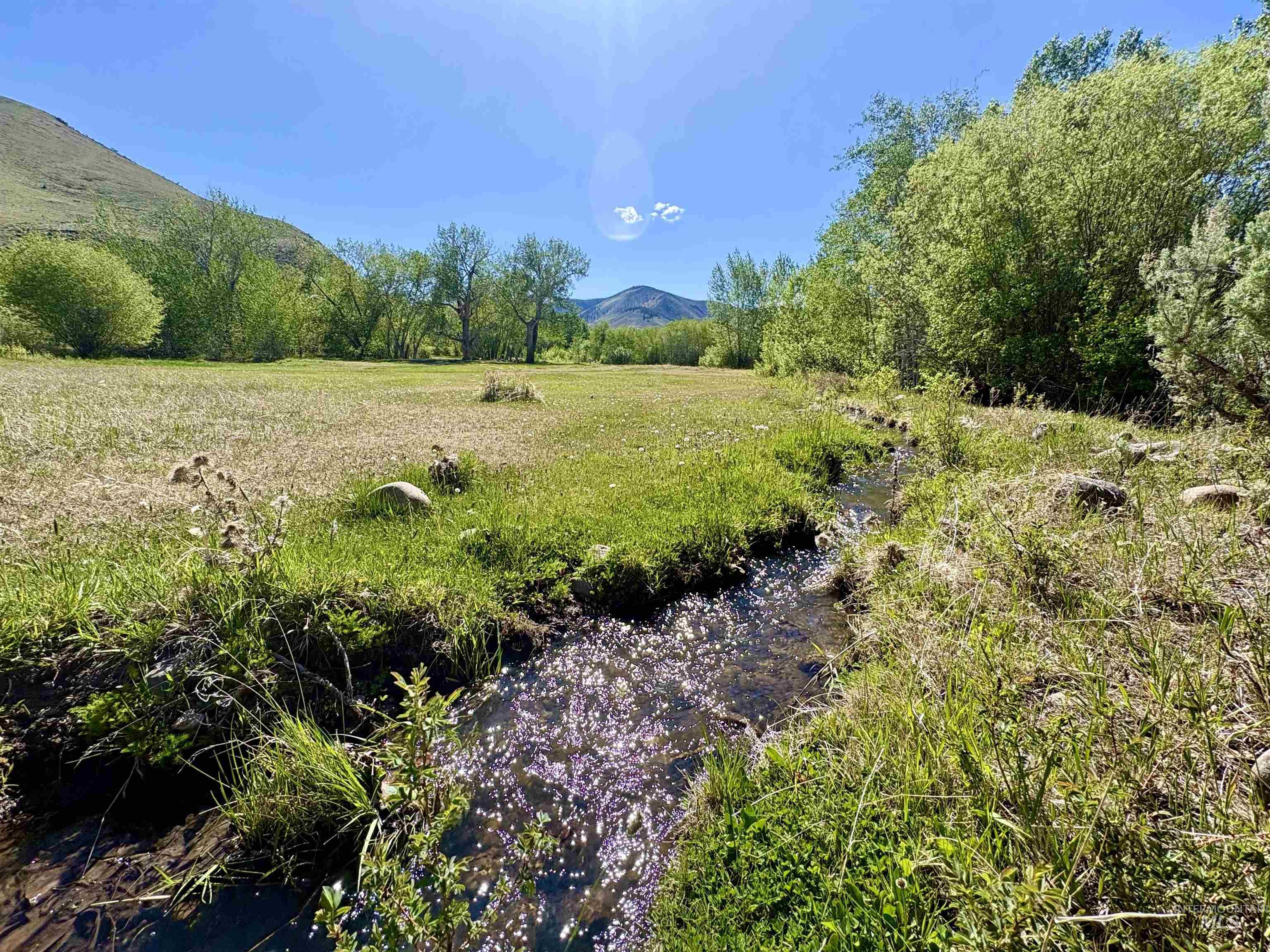 9885 Challis Creek Rd., Challis, Idaho 83226, 5 Bedrooms, 4 Bathrooms, Farm & Ranch For Sale, Price $1,550,000, 98959536