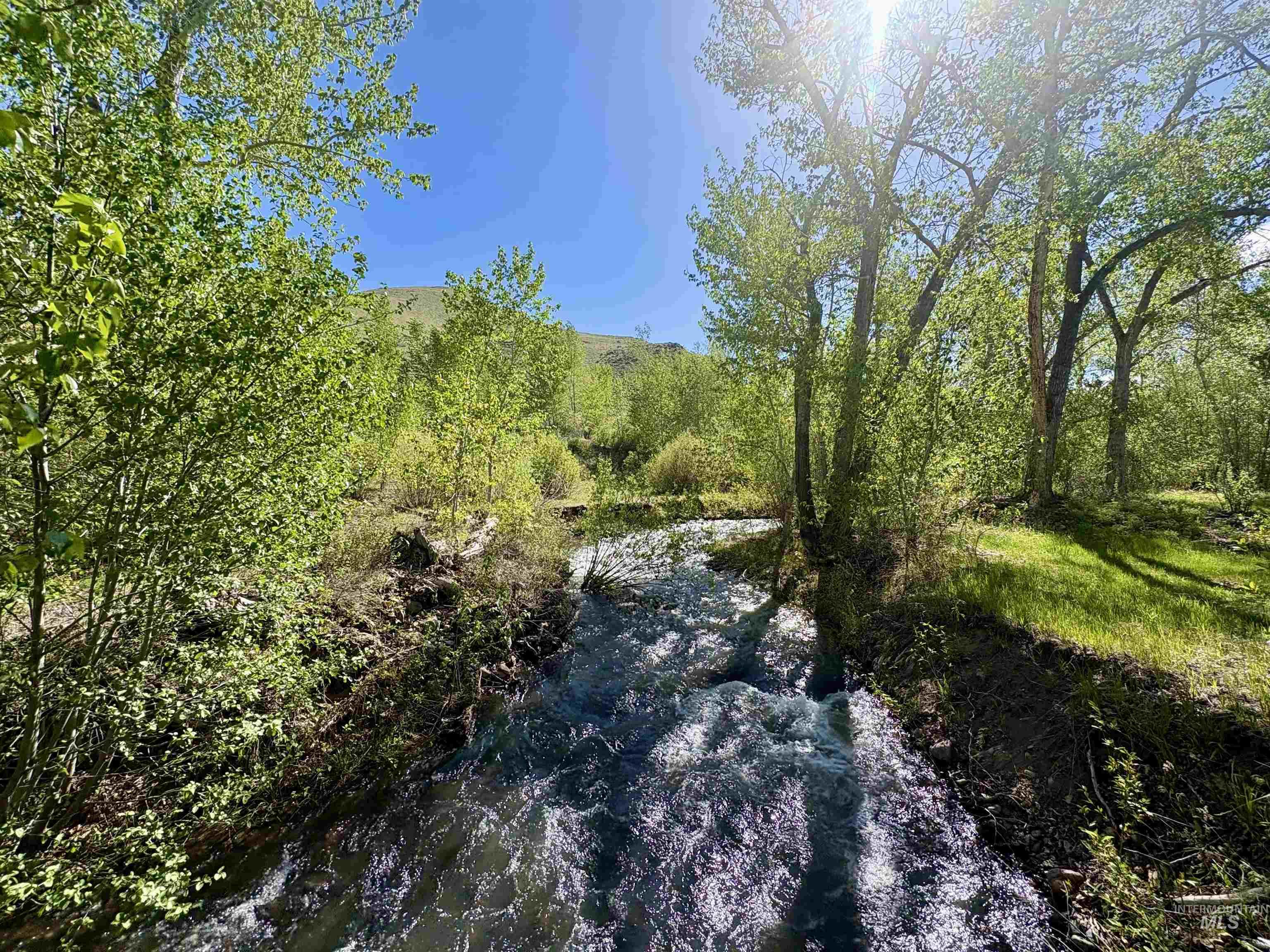 9885 Challis Creek Rd., Challis, Idaho 83226, 5 Bedrooms, 4 Bathrooms, Farm & Ranch For Sale, Price $1,550,000, 98959536