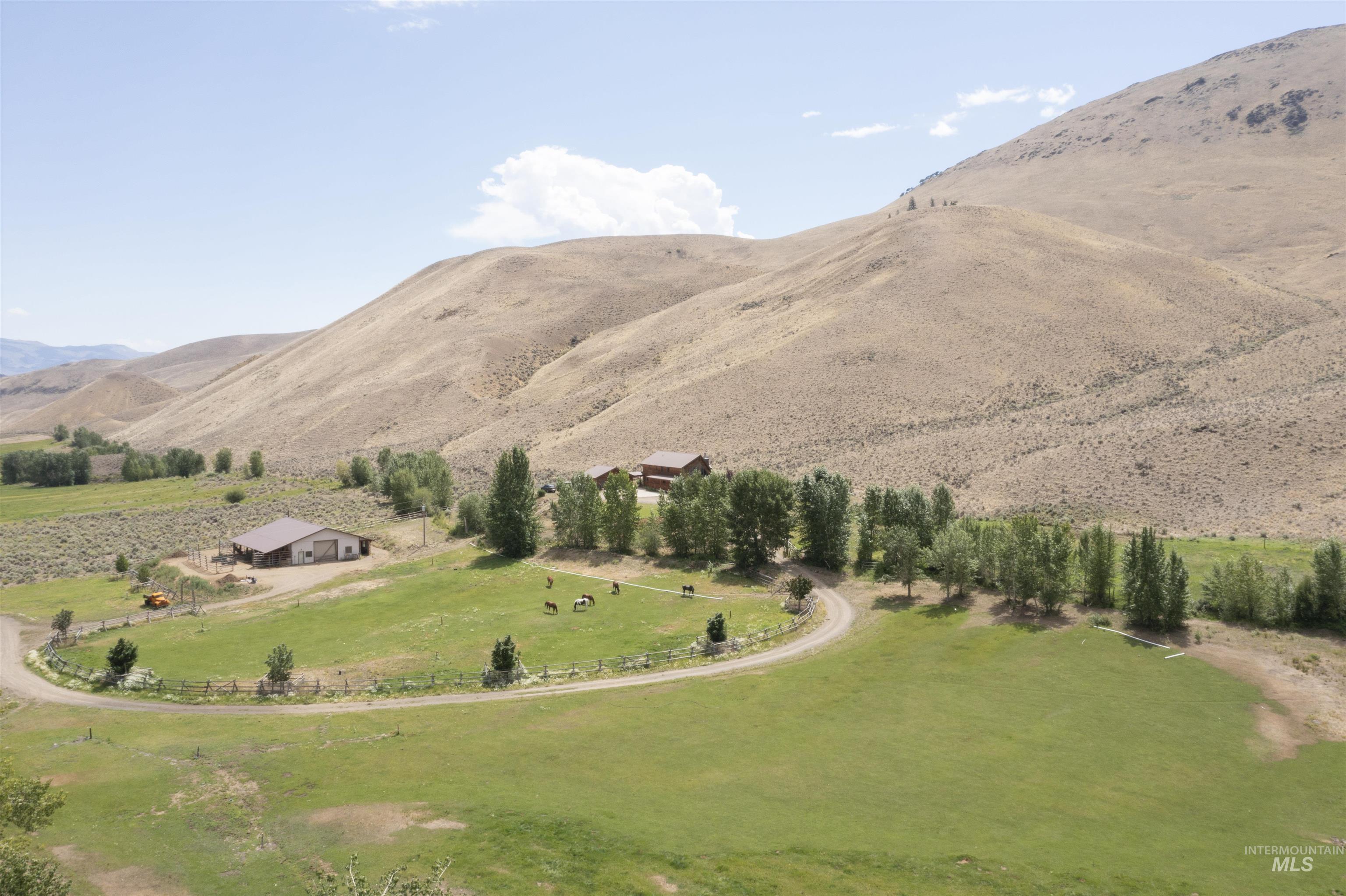 9885 Challis Creek Rd., Challis, Idaho 83226, 5 Bedrooms, 4 Bathrooms, Farm & Ranch For Sale, Price $1,550,000, 98959536