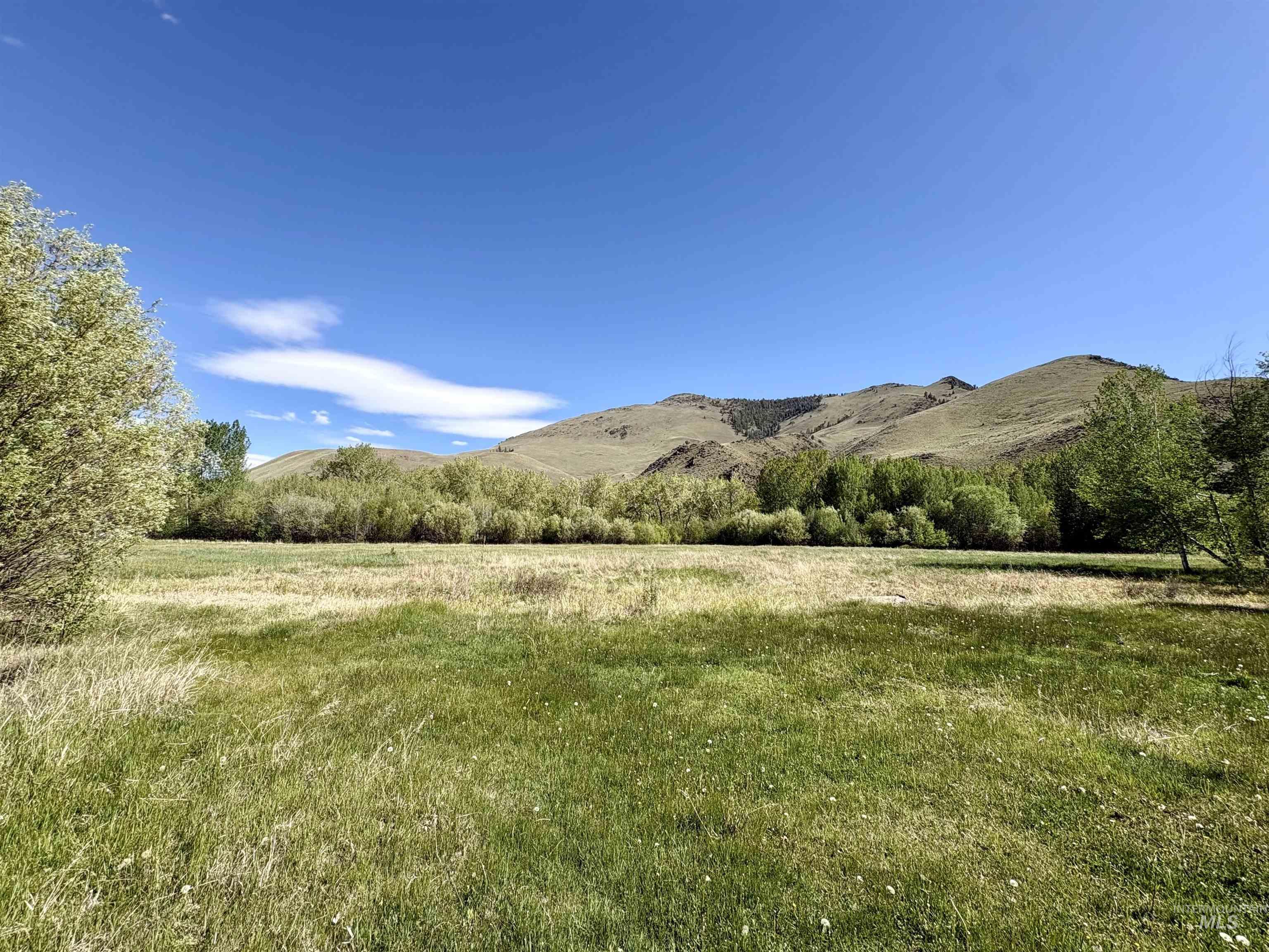 9885 Challis Creek Rd., Challis, Idaho 83226, 5 Bedrooms, 4 Bathrooms, Farm & Ranch For Sale, Price $1,550,000, 98959536