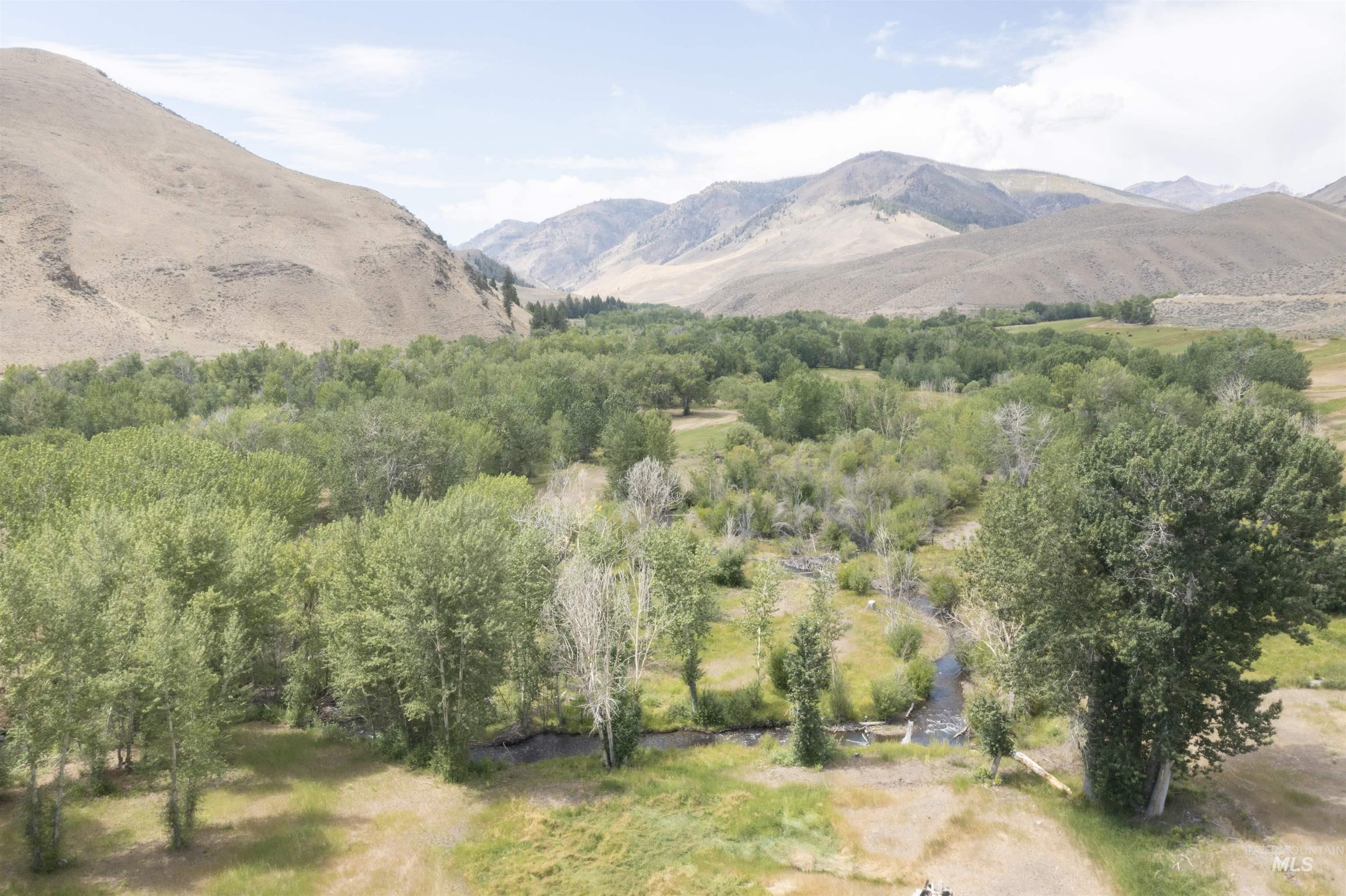 9885 Challis Creek Rd., Challis, Idaho 83226, 5 Bedrooms, 4 Bathrooms, Farm & Ranch For Sale, Price $1,550,000, 98959536