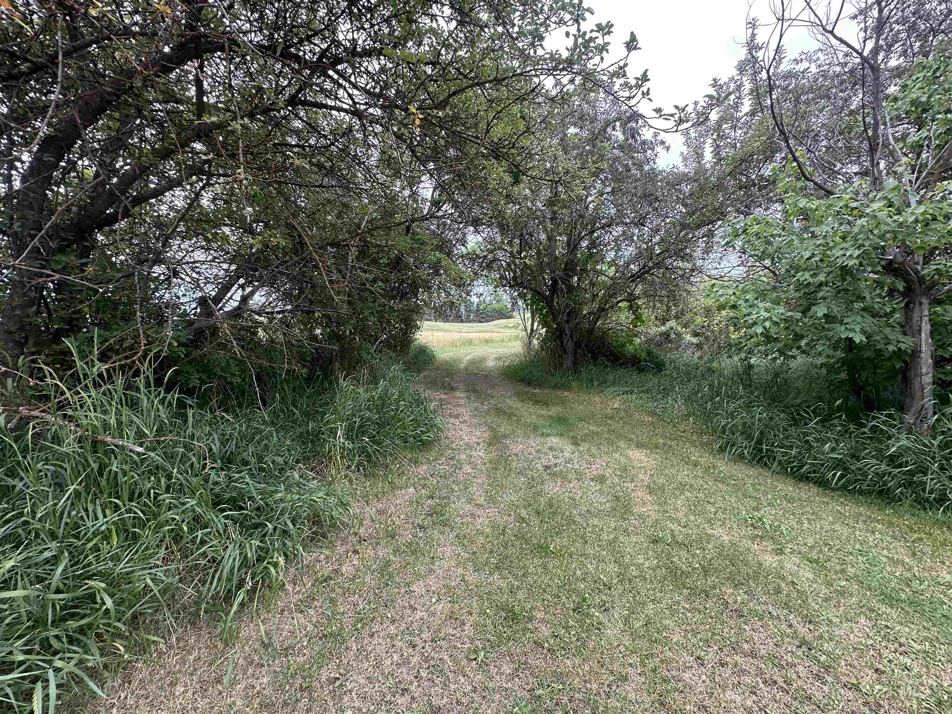 811 Florence Avenue, Craigmont, Idaho 83523, 4 Bedrooms, 4 Bathrooms, Residential For Sale, Price $415,000, 98959577