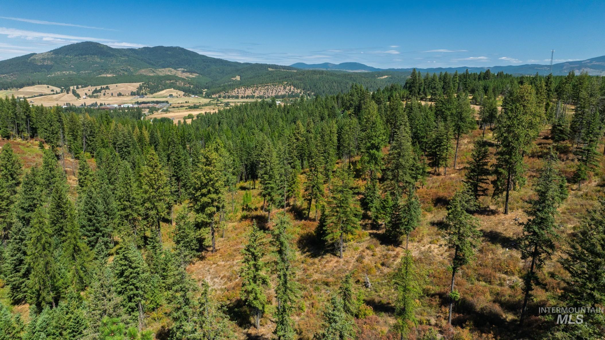 NKA O'Reilly Road, Princeton, Idaho 83857, Land For Sale, Price $495,000, 98959584