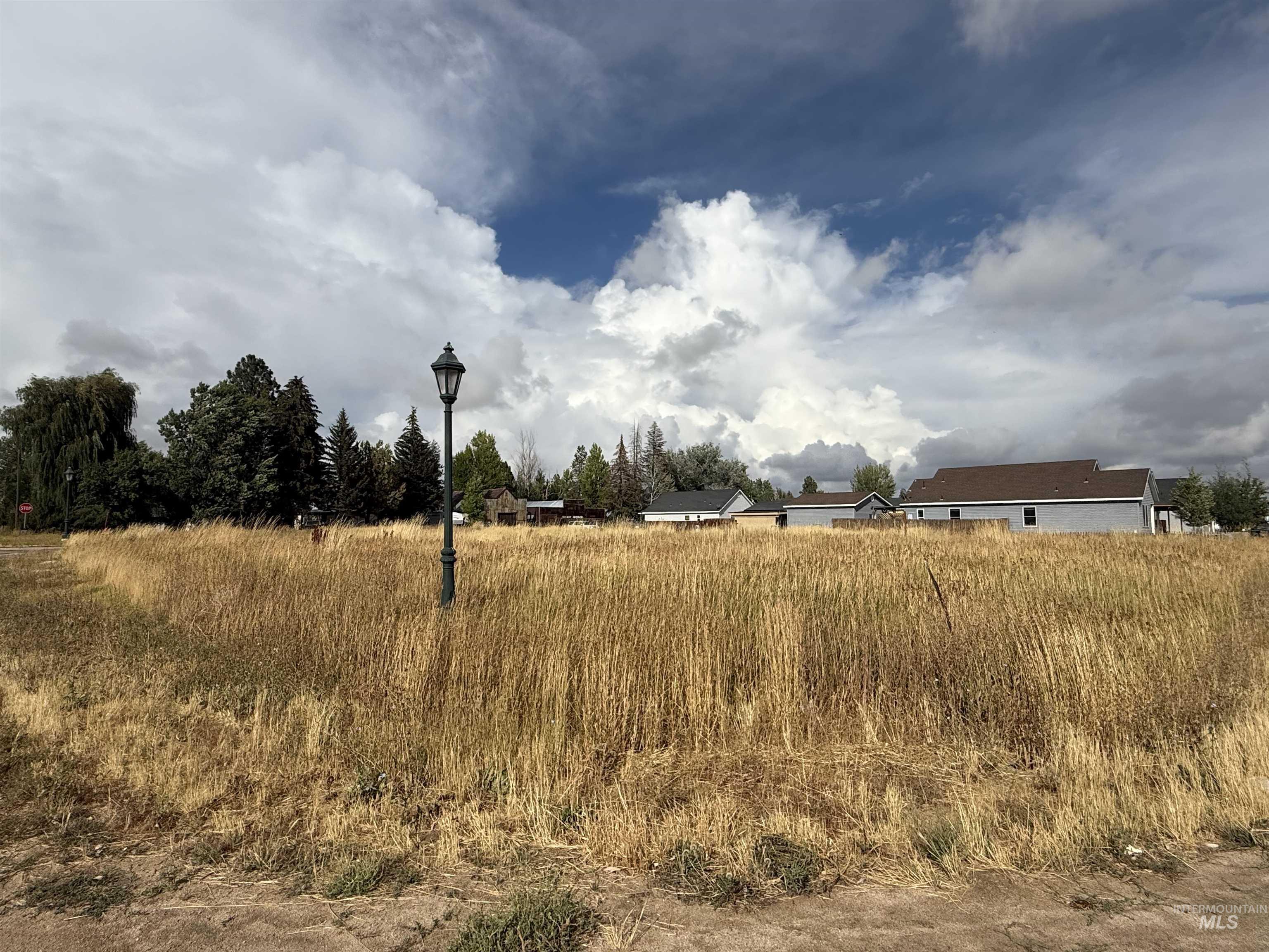 201 E Spruce, Fairfield, Idaho 83327, Land For Sale, Price $47,500, 98959669