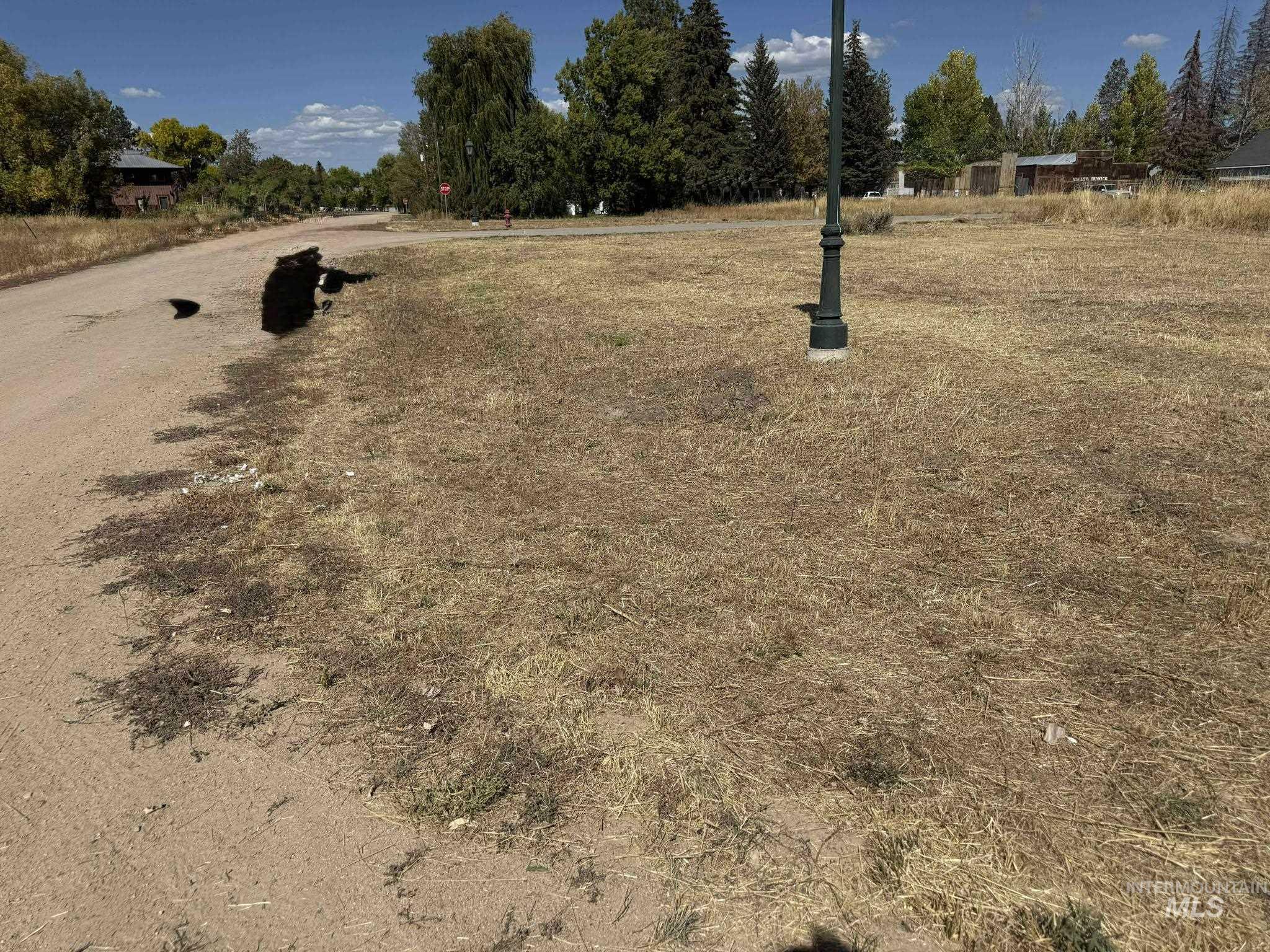 201 E Spruce, Fairfield, Idaho 83327, Land For Sale, Price $47,500, 98959669