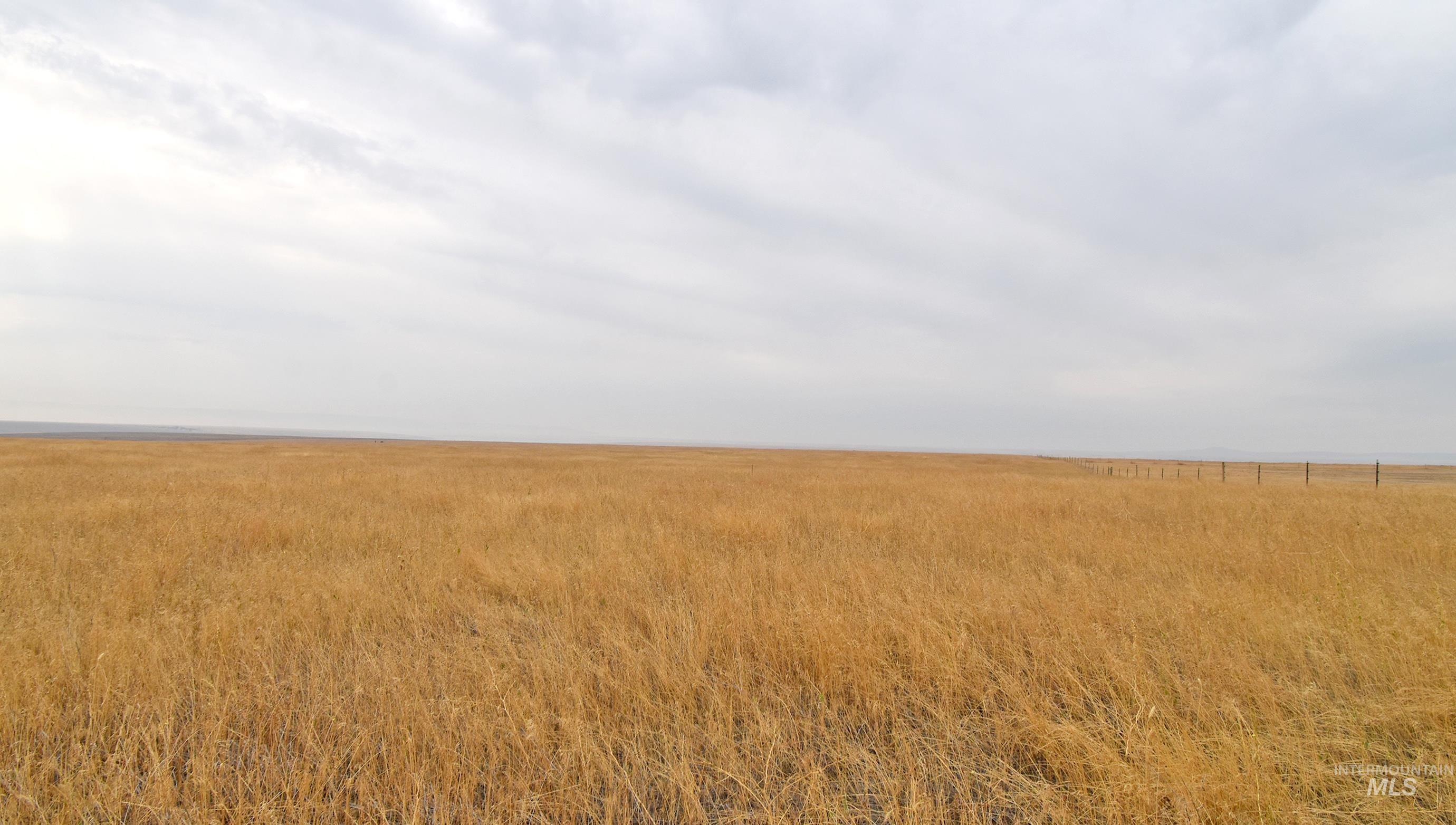 0 Peola Road, Clarkston, Washington 99403, Land For Sale, Price $299,000, 98959720