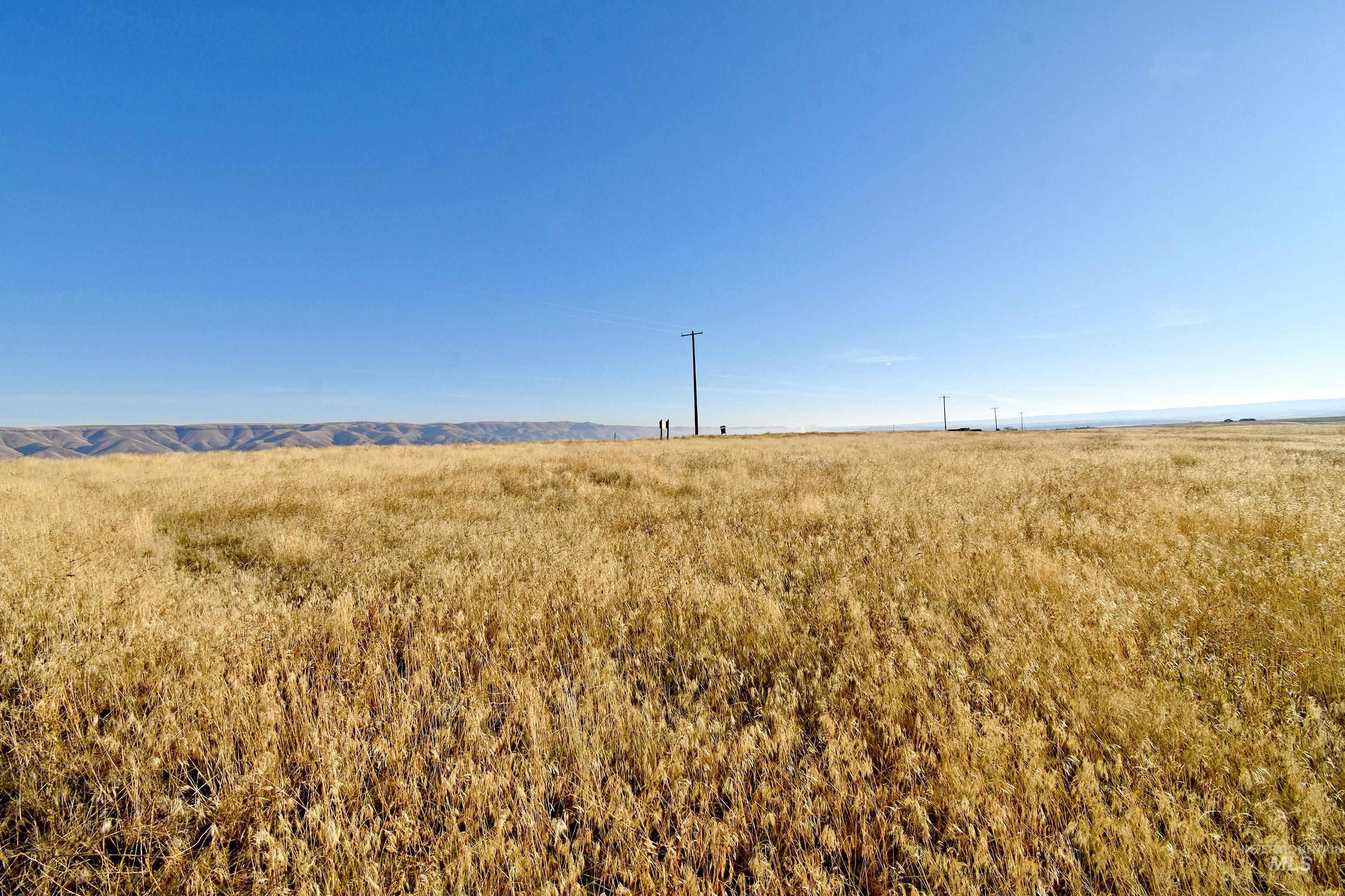 0 Peola Road, Clarkston, Washington 99403, Land For Sale, Price $299,000, 98959720