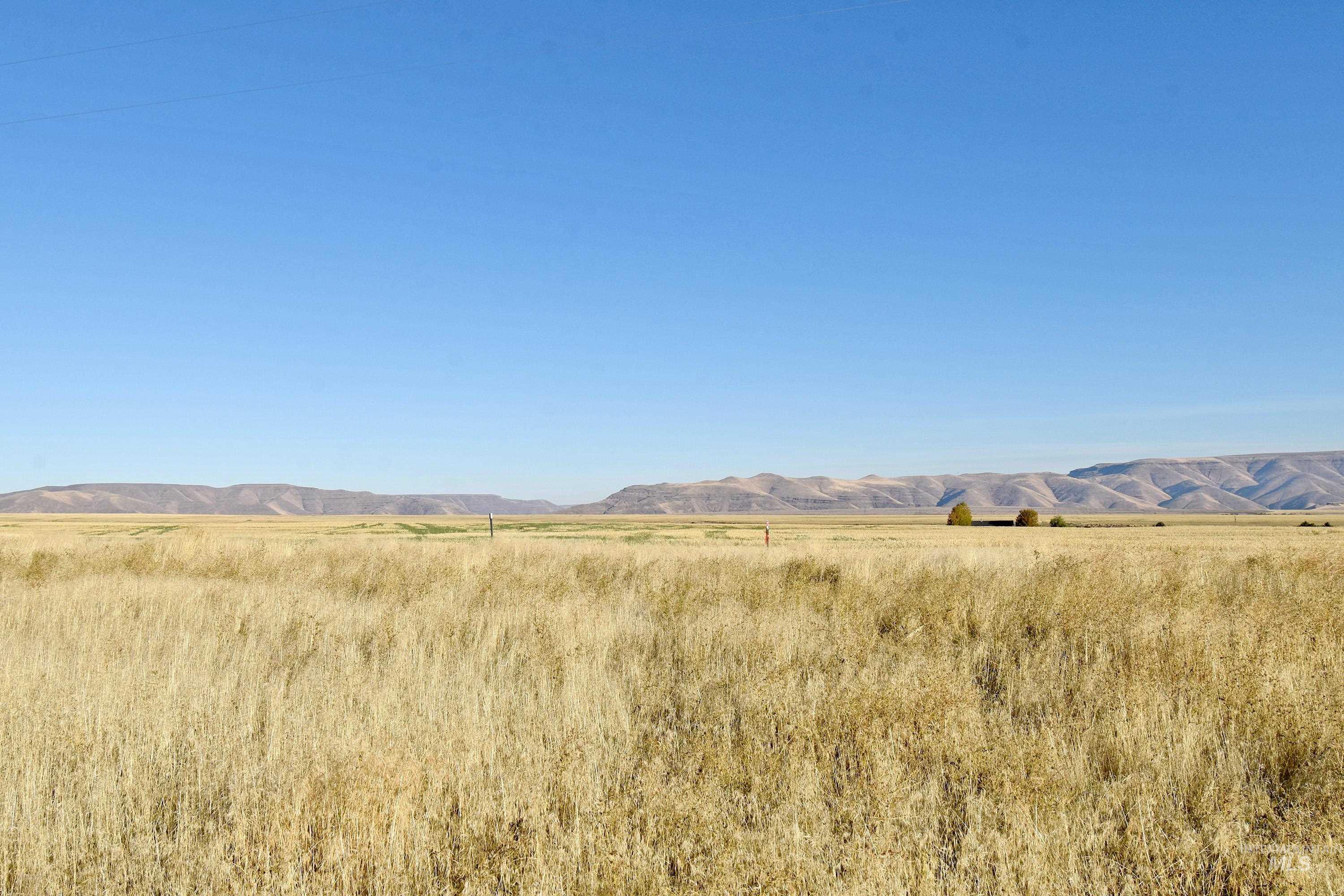 0 Peola Road, Clarkston, Washington 99403, Land For Sale, Price $299,000, 98959720