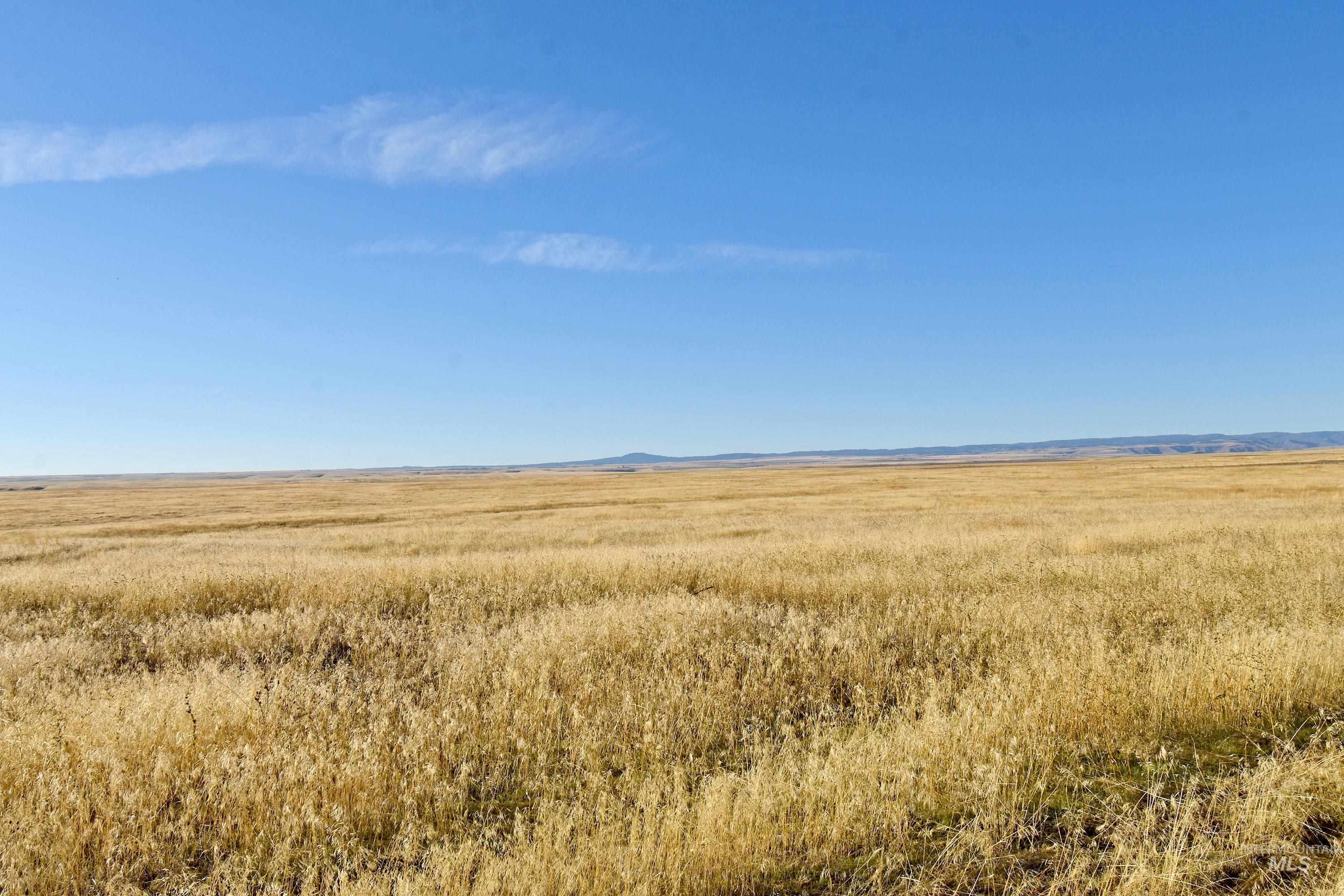 0 Peola Road, Clarkston, Washington 99403, Land For Sale, Price $299,000, 98959720