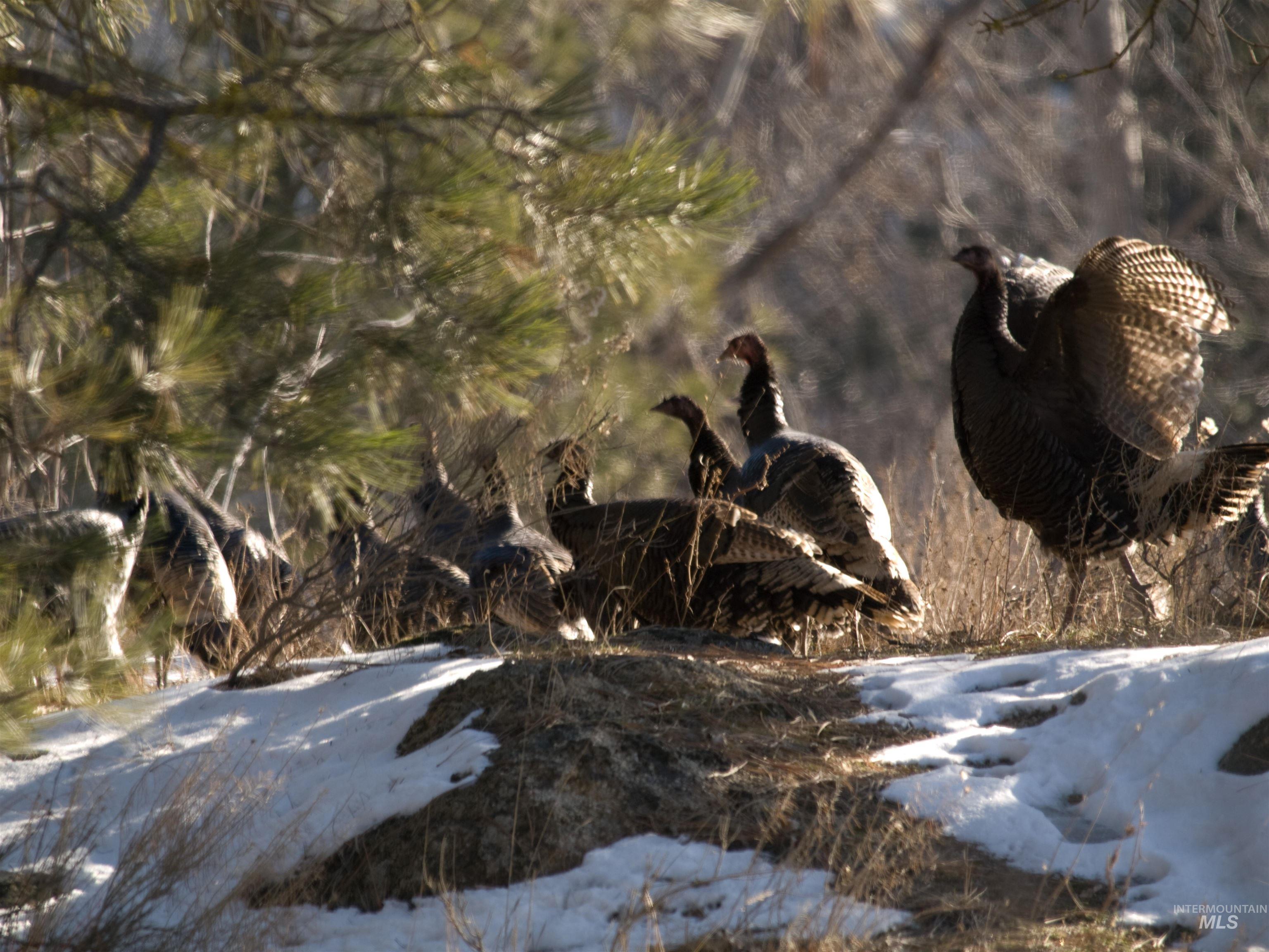 BLK 10 LOT 9 Whitewater Way, Garden Valley, Idaho 83622, Land For Sale, Price $100,000,MLS 98959967