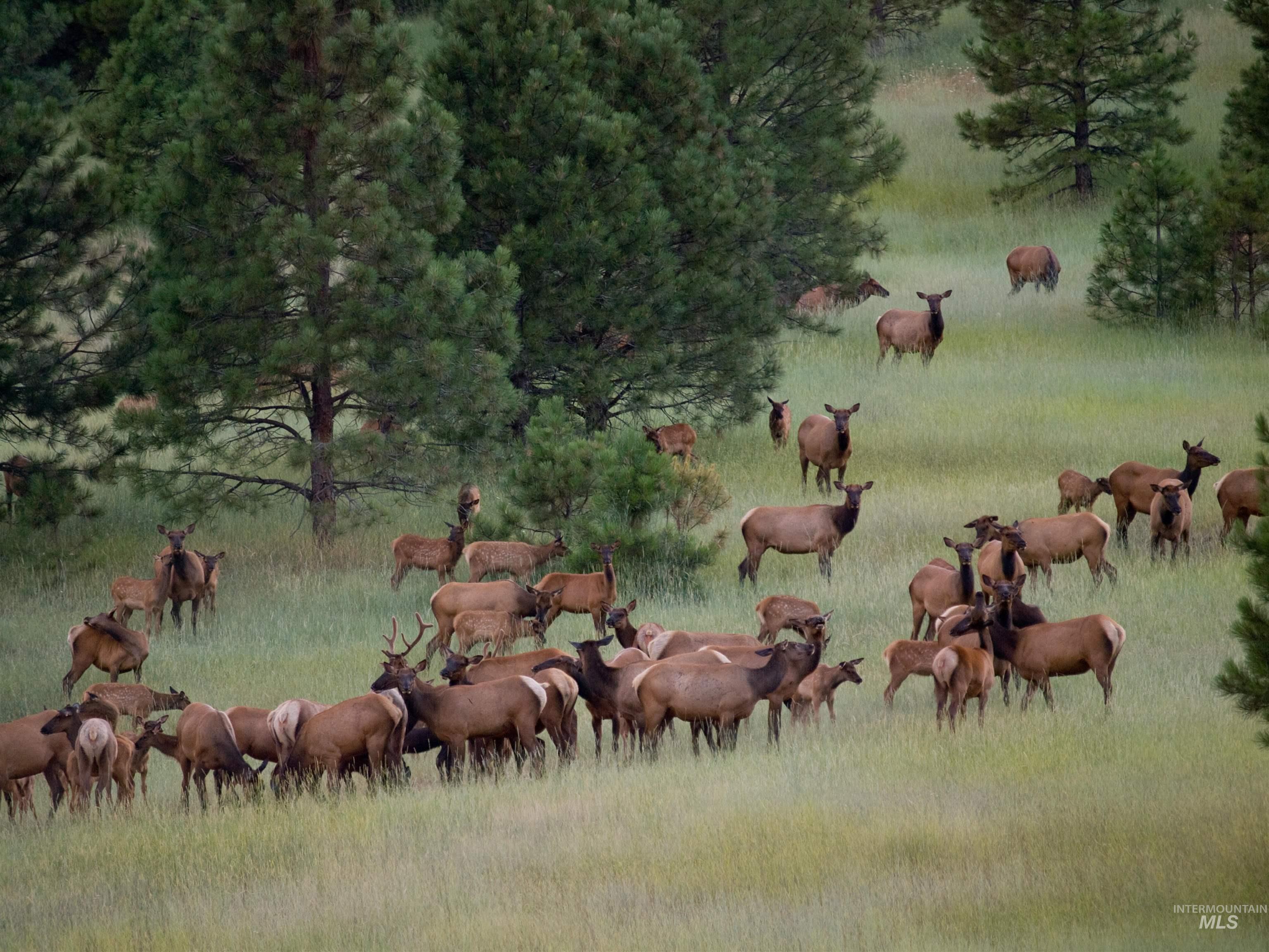 BLK 10 LOT 6 Whitewater Way, Garden Valley, Idaho 83622, Land For Sale, Price $100,000,MLS 98959972