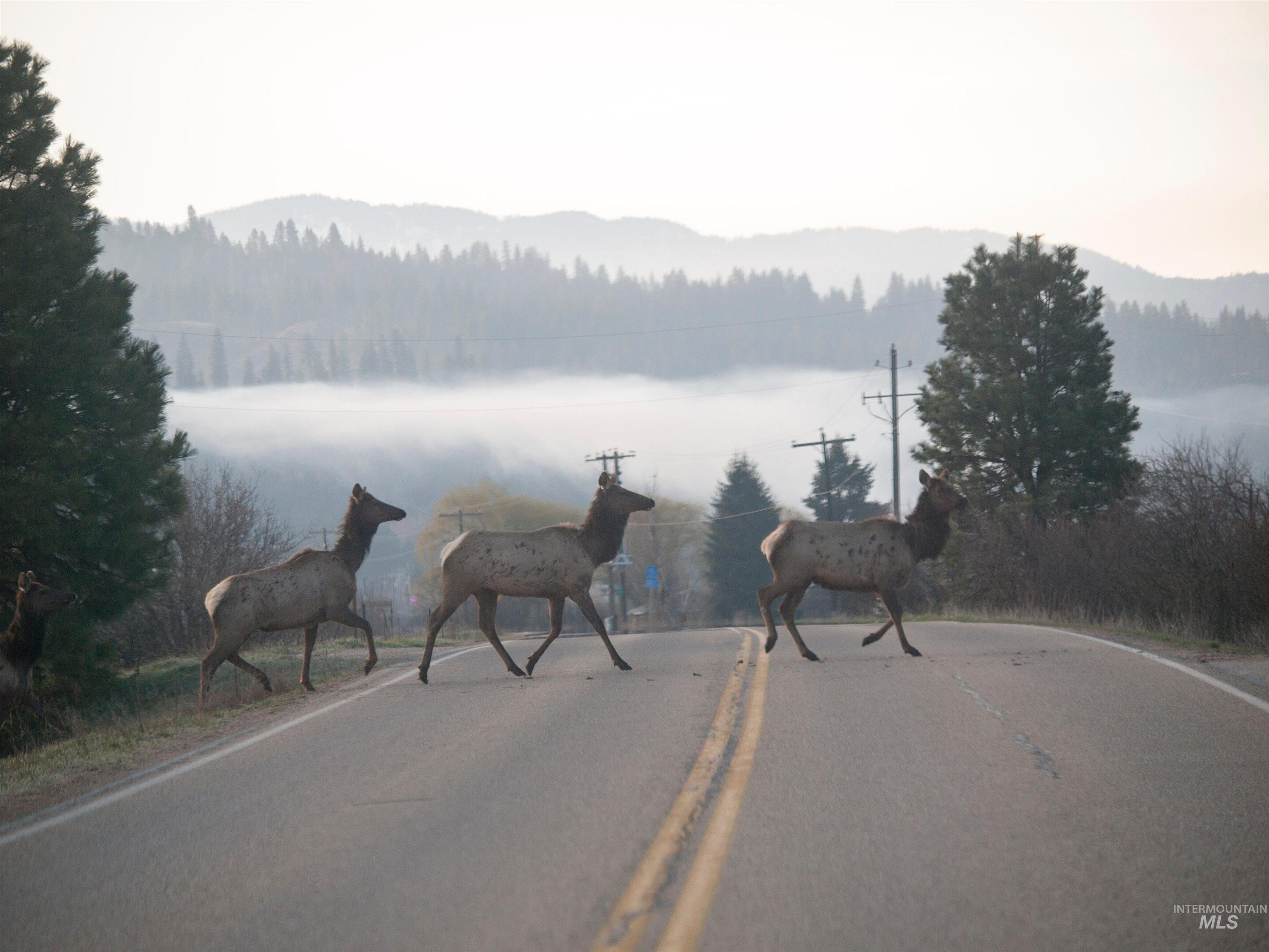 BLK 10 LOT 5 Whitewater Way, Garden Valley, Idaho 83622, Land For Sale, Price $100,000,MLS 98959973