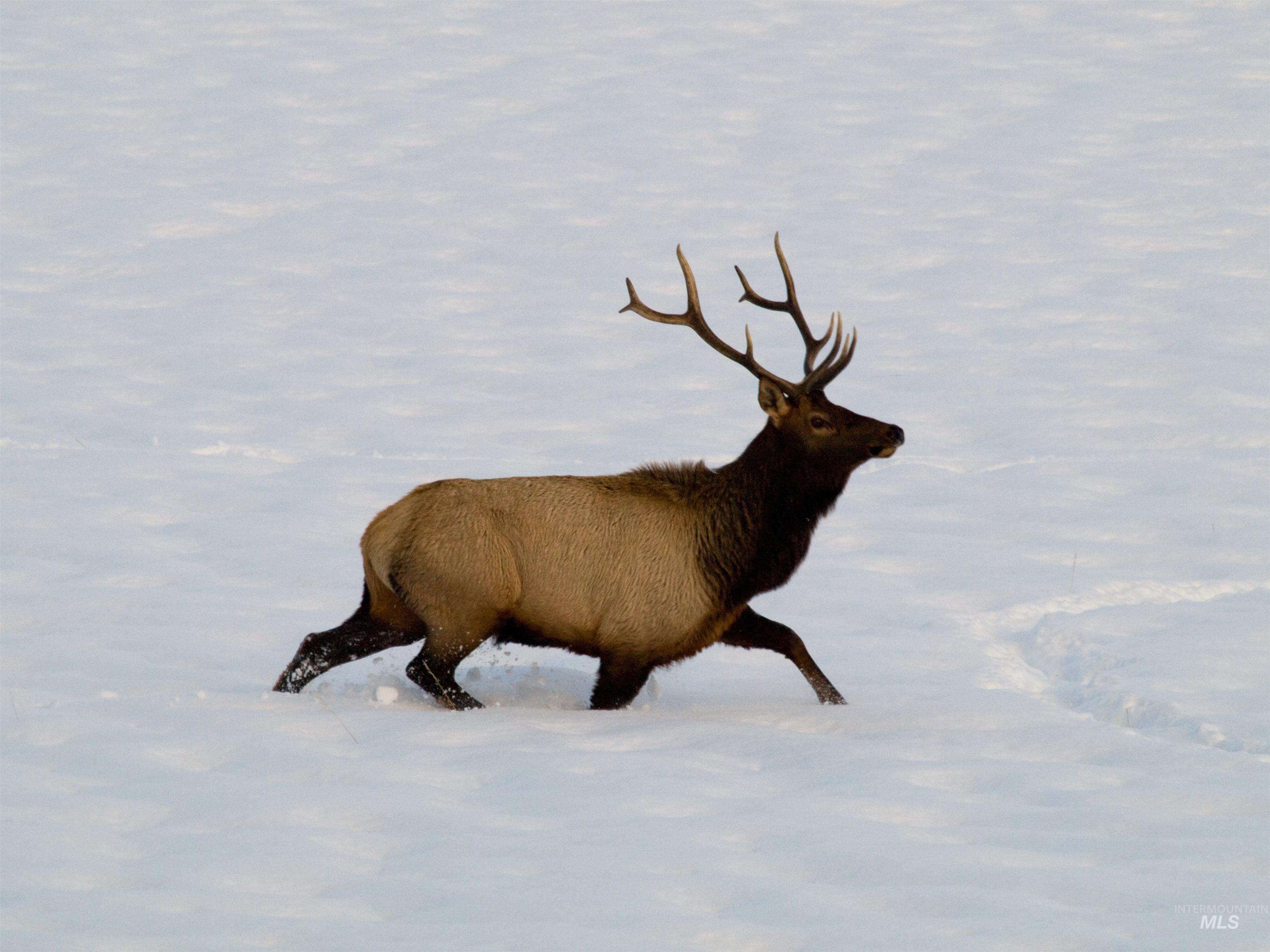 BLK 10 LOT 4 Whitewater Way, Garden Valley, Idaho 83622, Land For Sale, Price $95,000,MLS 98959974