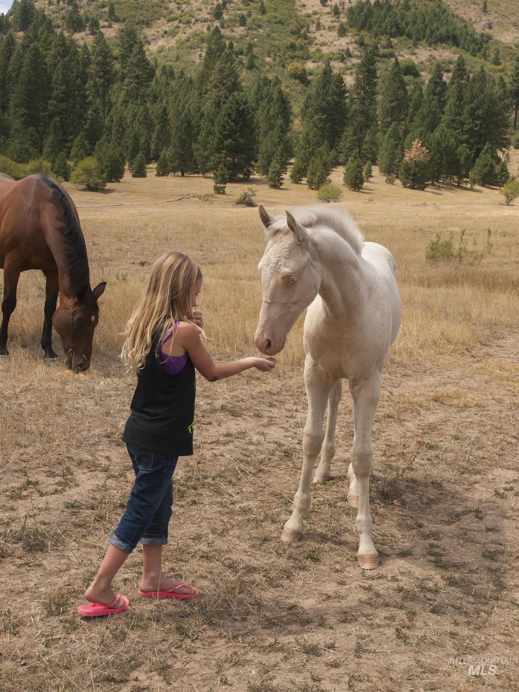 BLK 10 LOT 3 Whitewater Way, Garden Valley, Idaho 83622, Land For Sale, Price $95,000,MLS 98959975